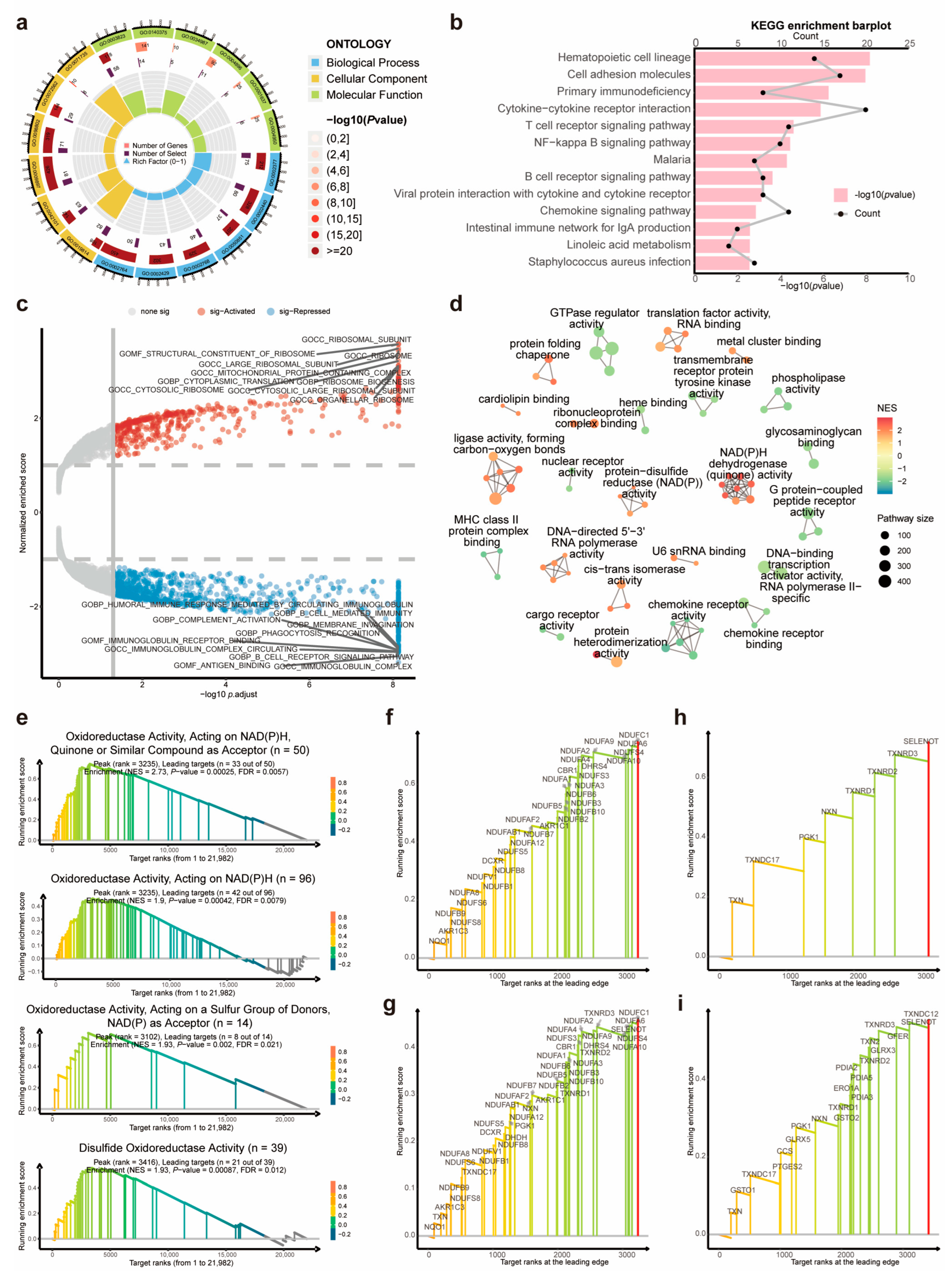 Biomolecules 14 00266 g005