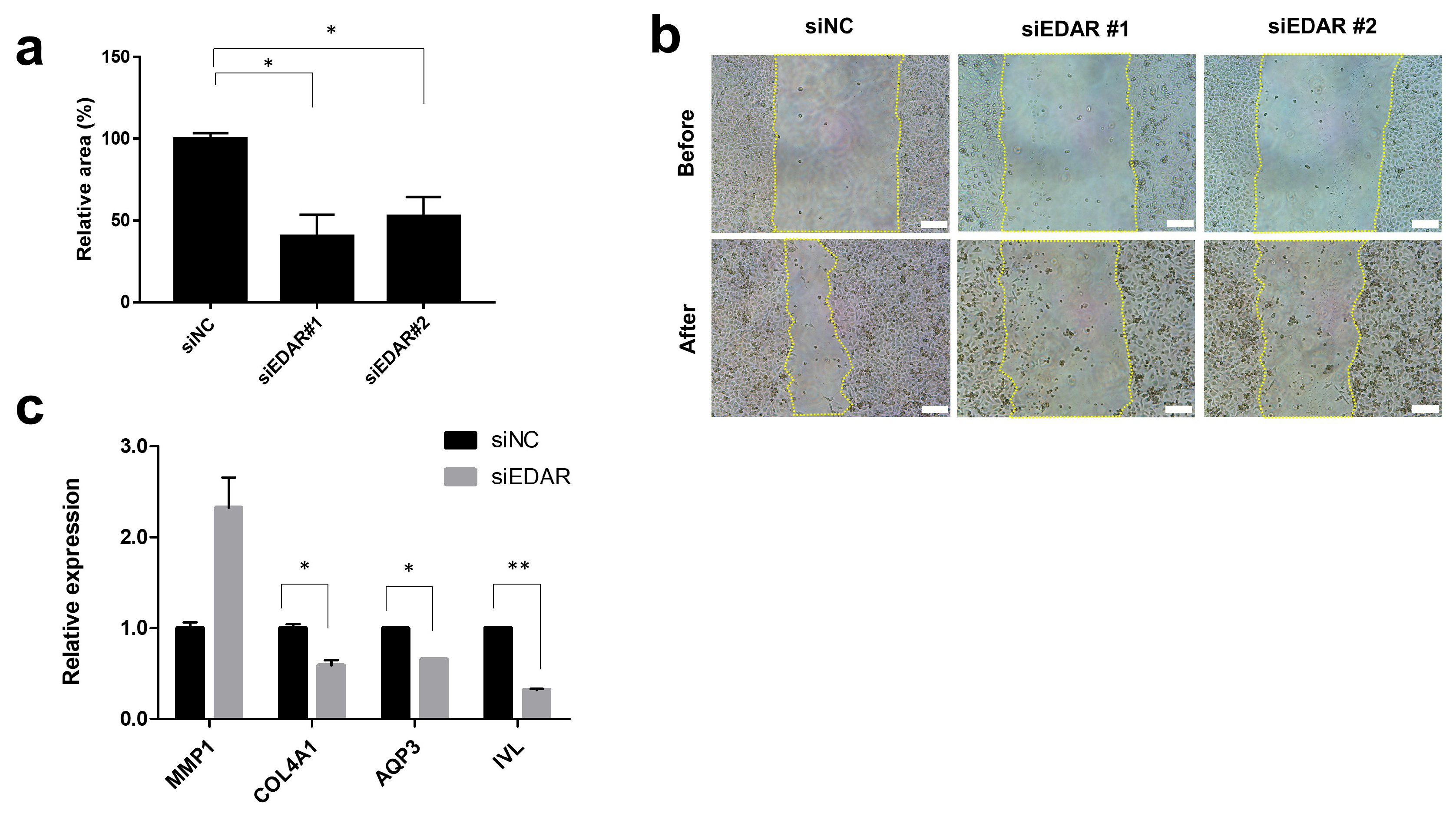 Biomolecules 14 00279 g001