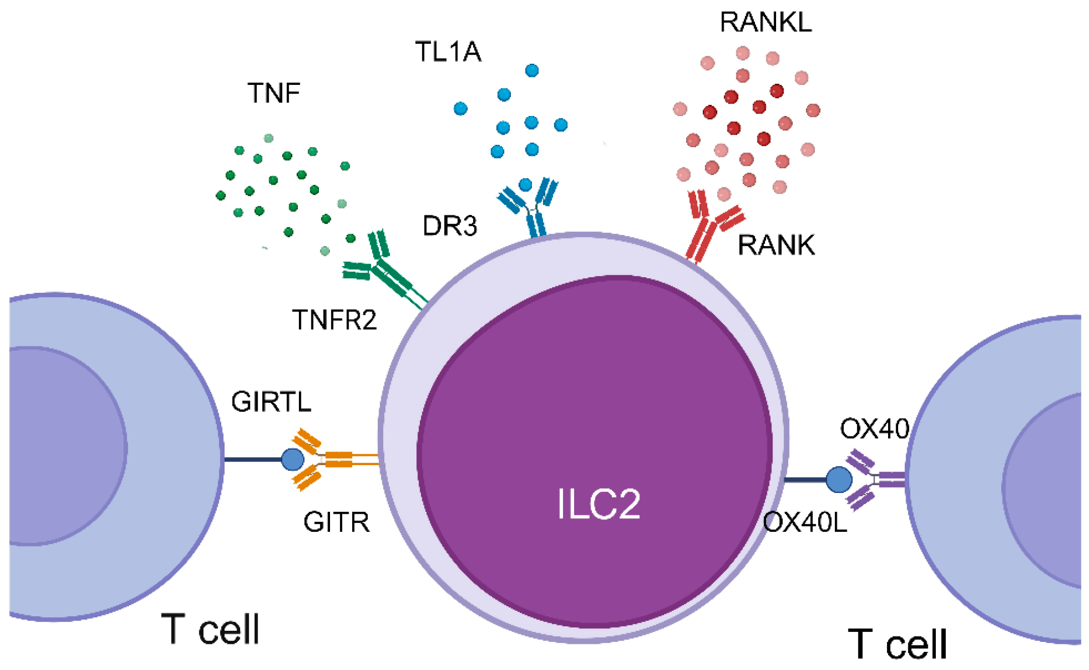 Biomolecules 14 00294 g001 Biomolecules 14 00294 g001
