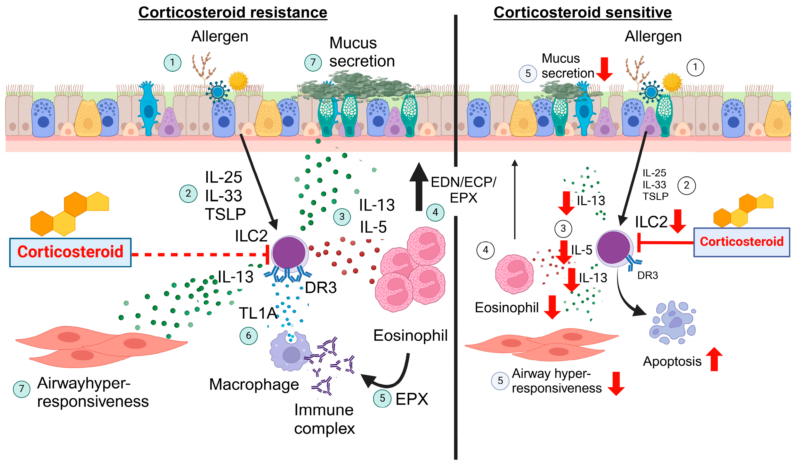 Biomolecules 14 00294 g002 Biomolecules 14 00294 g002