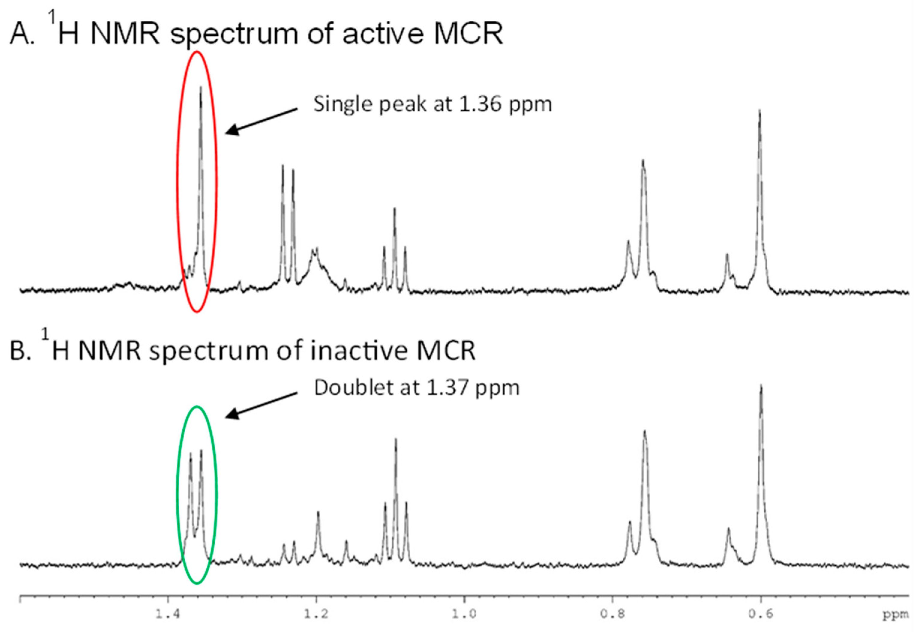 Biomolecules Free Full Text Methylacyl CoA Racemase