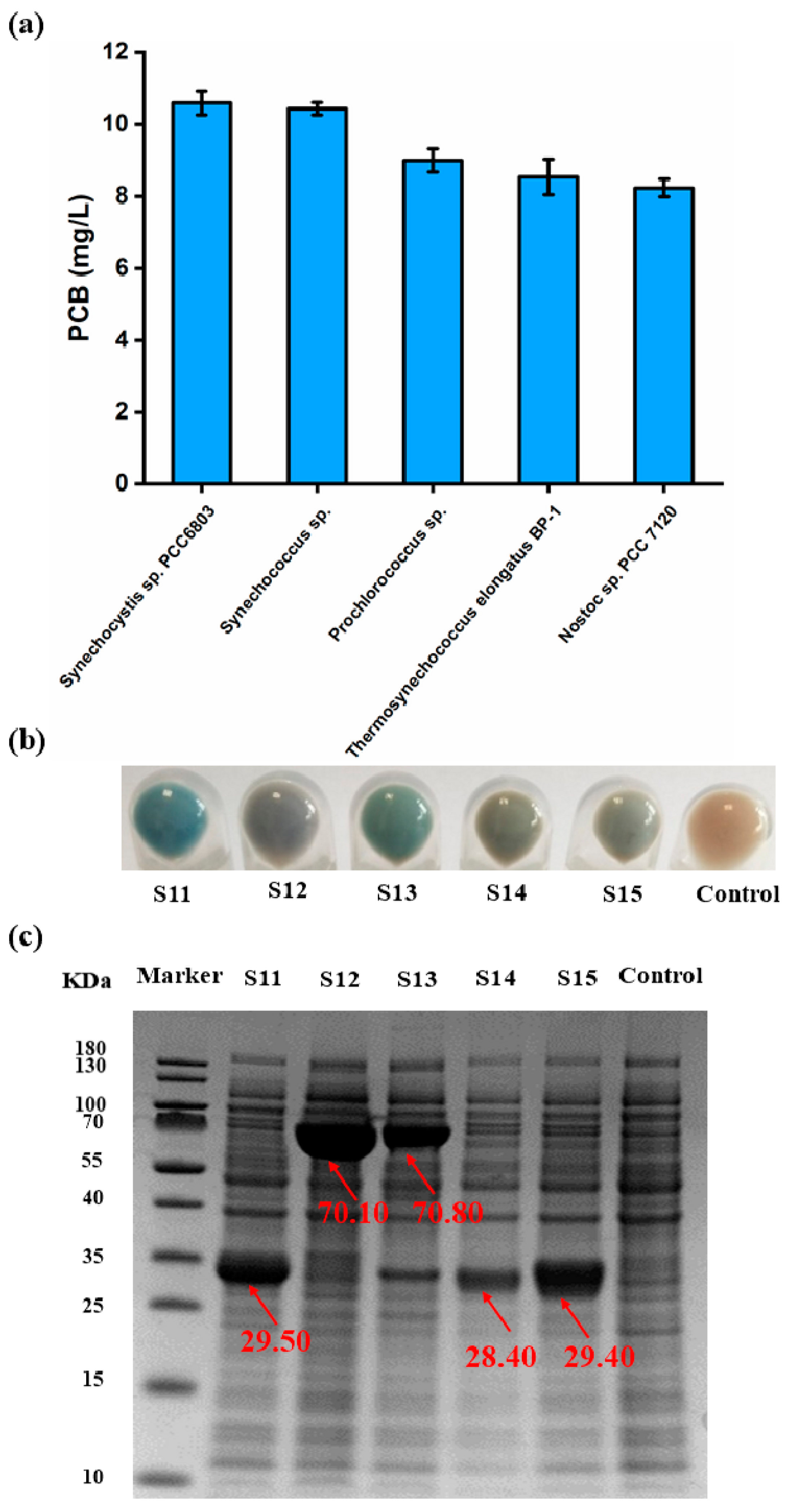 Biomolecules 14 00301 g005