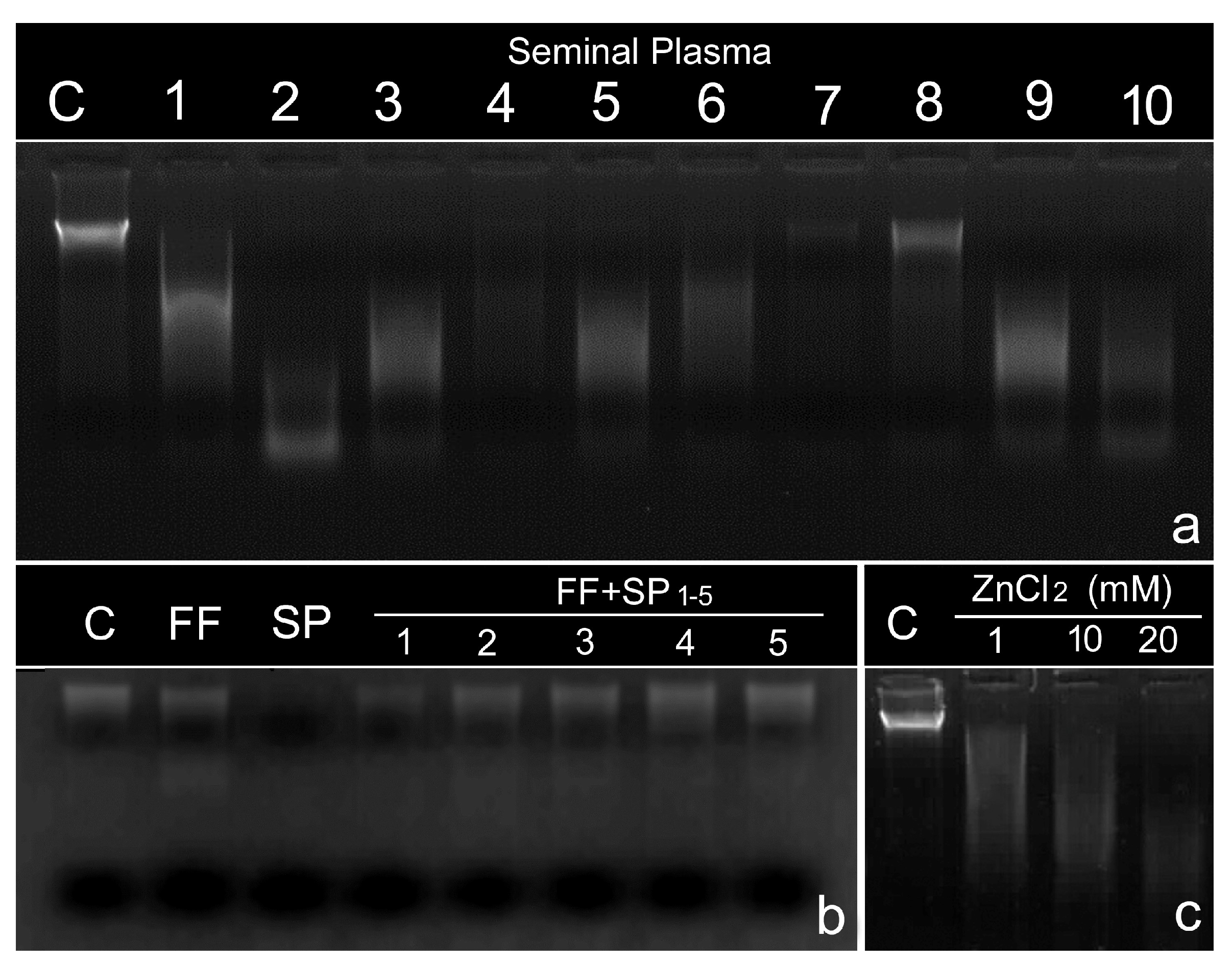 Biomolecules 14 00304 g001