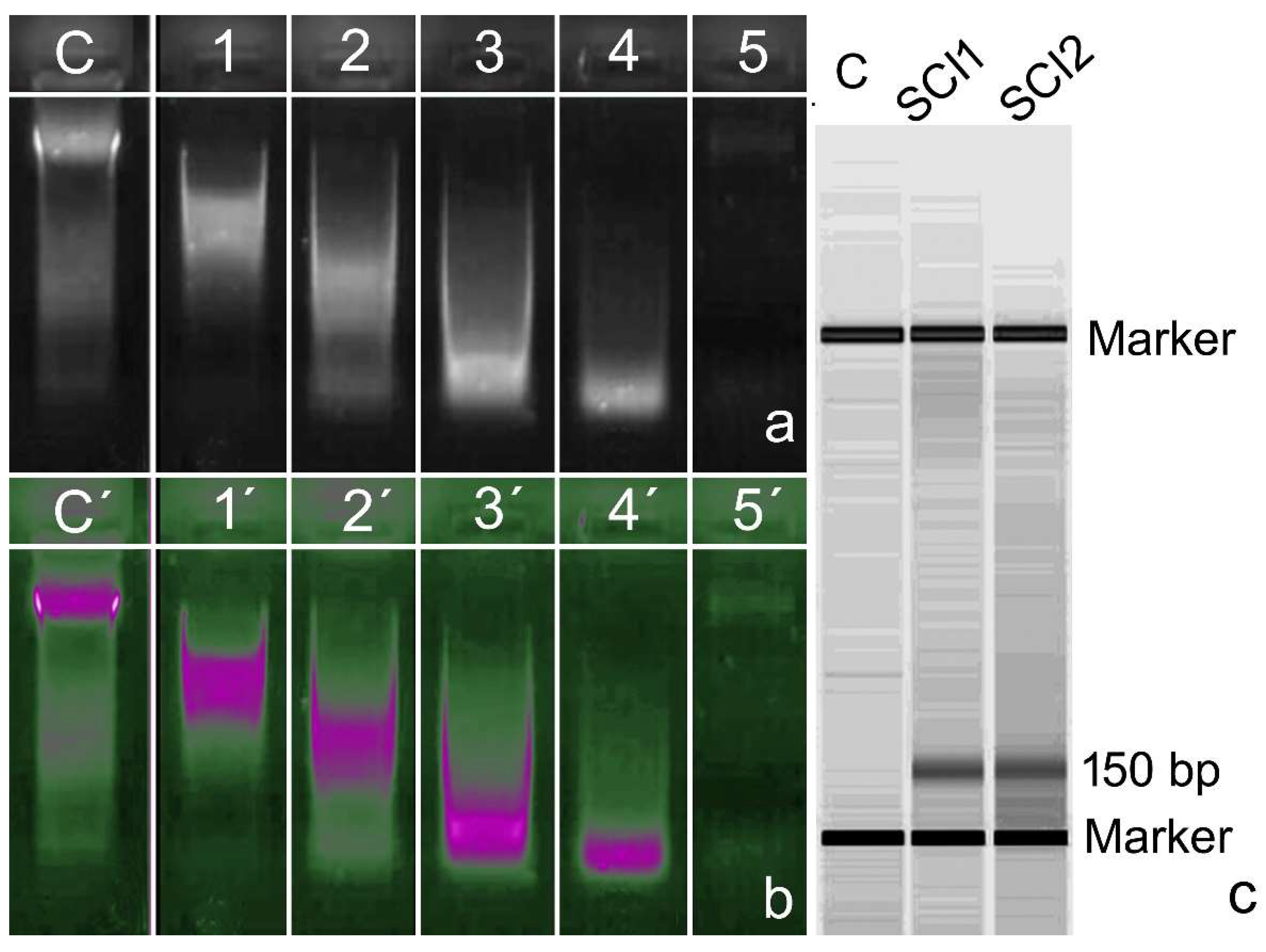 Biomolecules 14 00304 g002