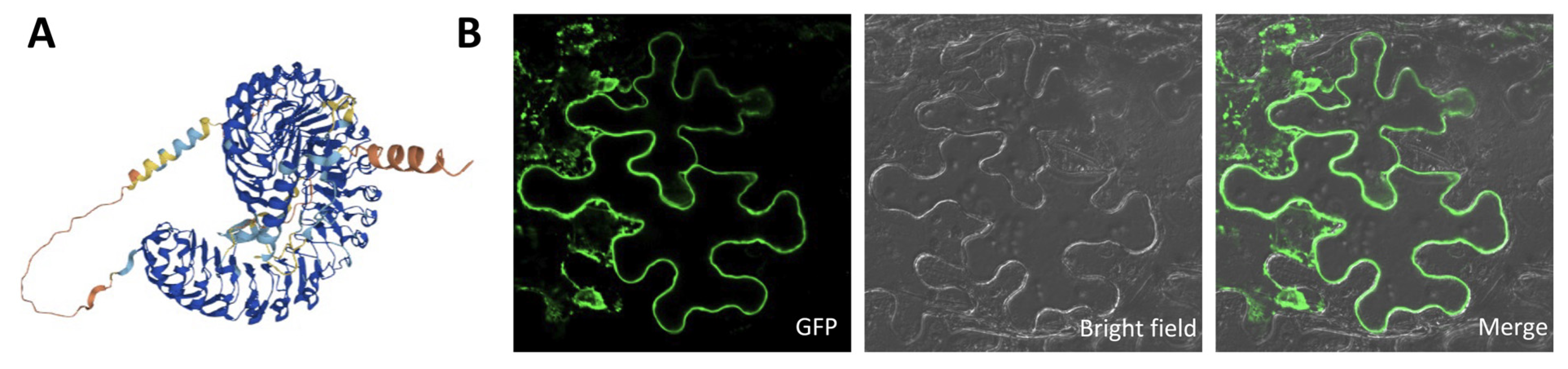 Biomolecules 14 00308 g007