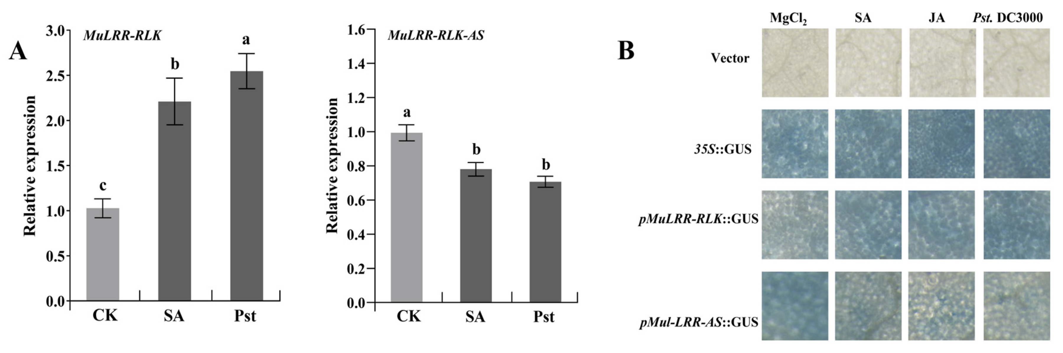 Biomolecules 14 00308 g008