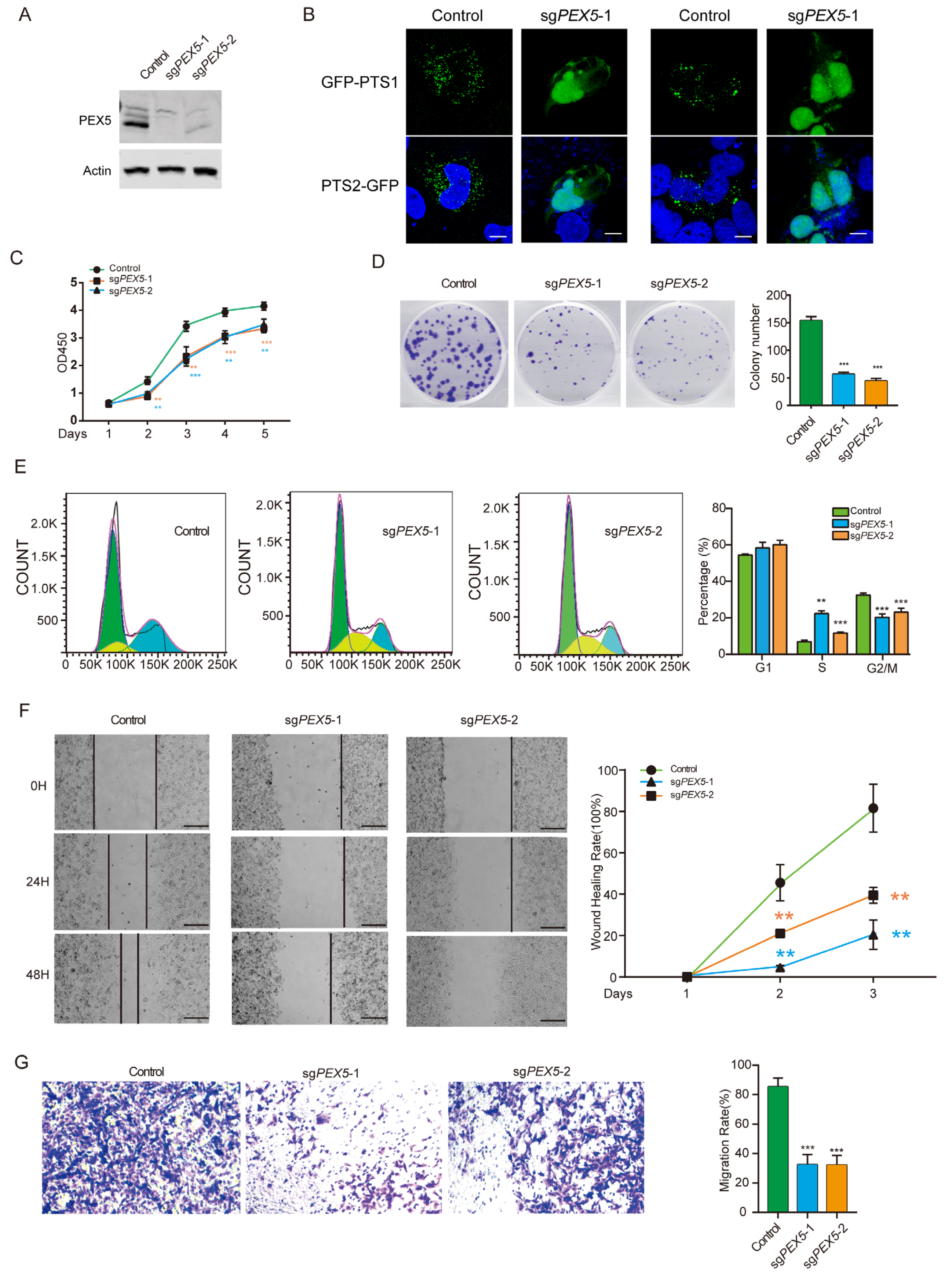 Biomolecules 14 00314 g001 Biomolecules 14 00314 g001