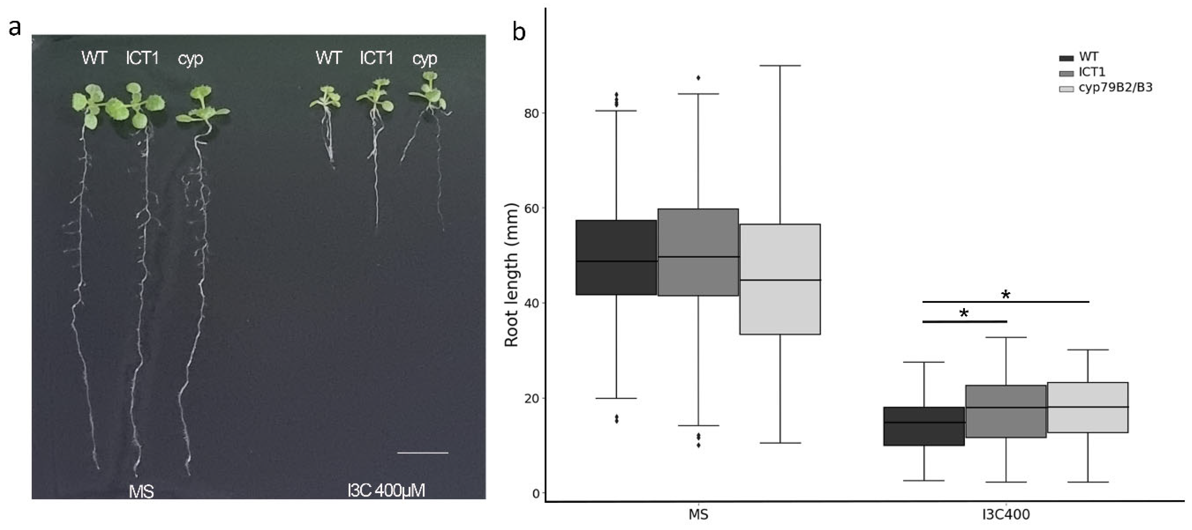 Biomolecules 14 00319 g002