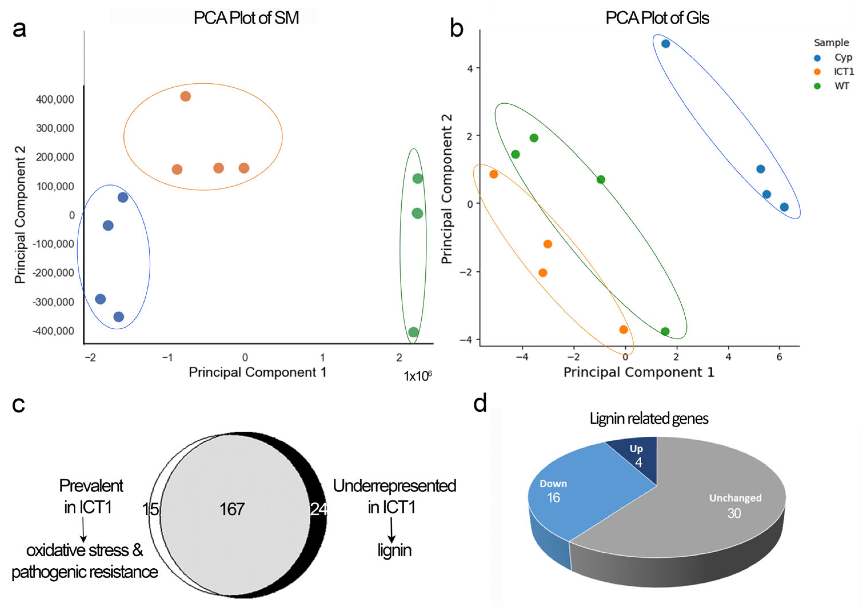 Biomolecules 14 00319 g003