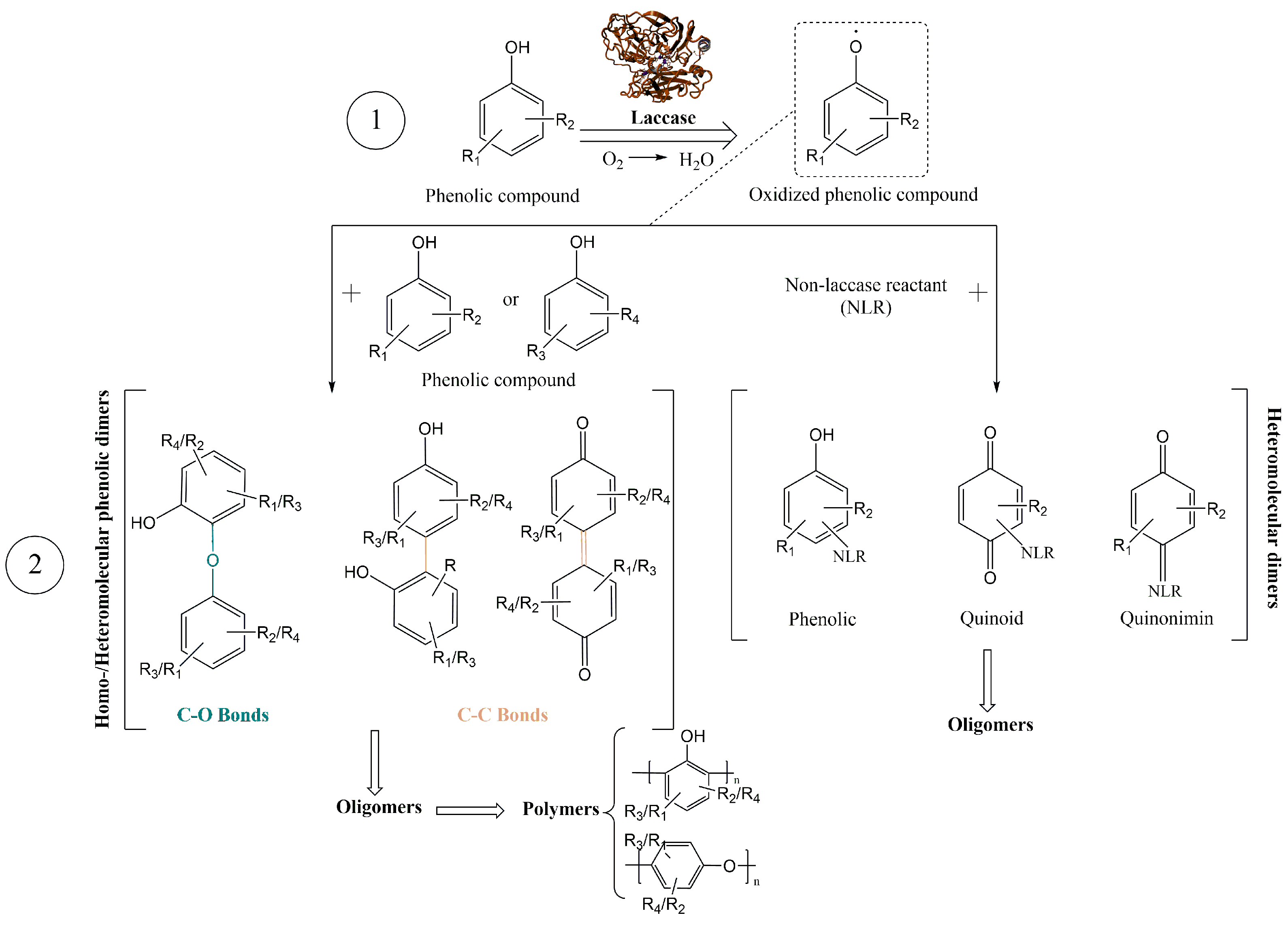 Biomolecules 14 00323 sch001