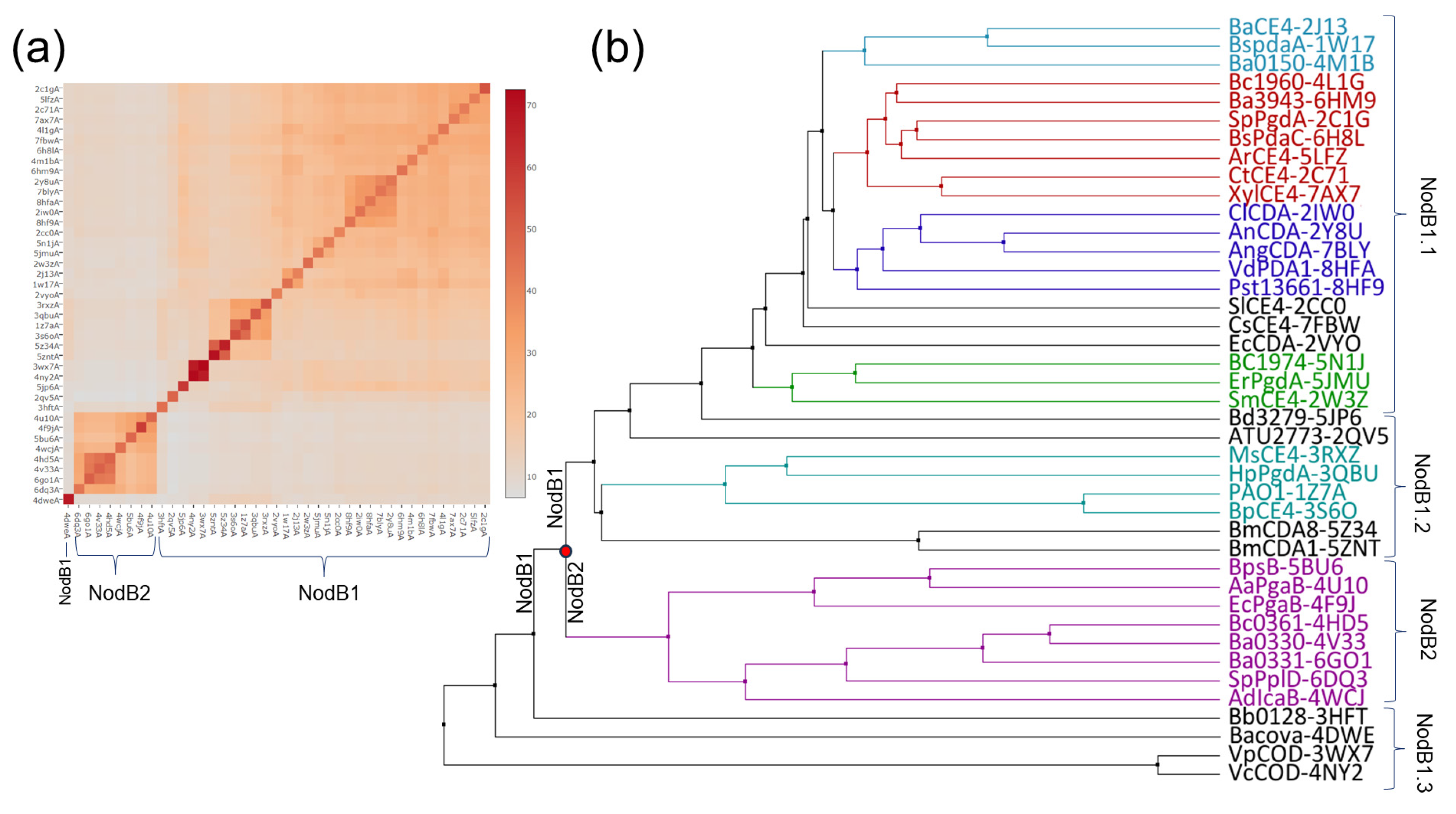 Biomolecules 14 00325 g002