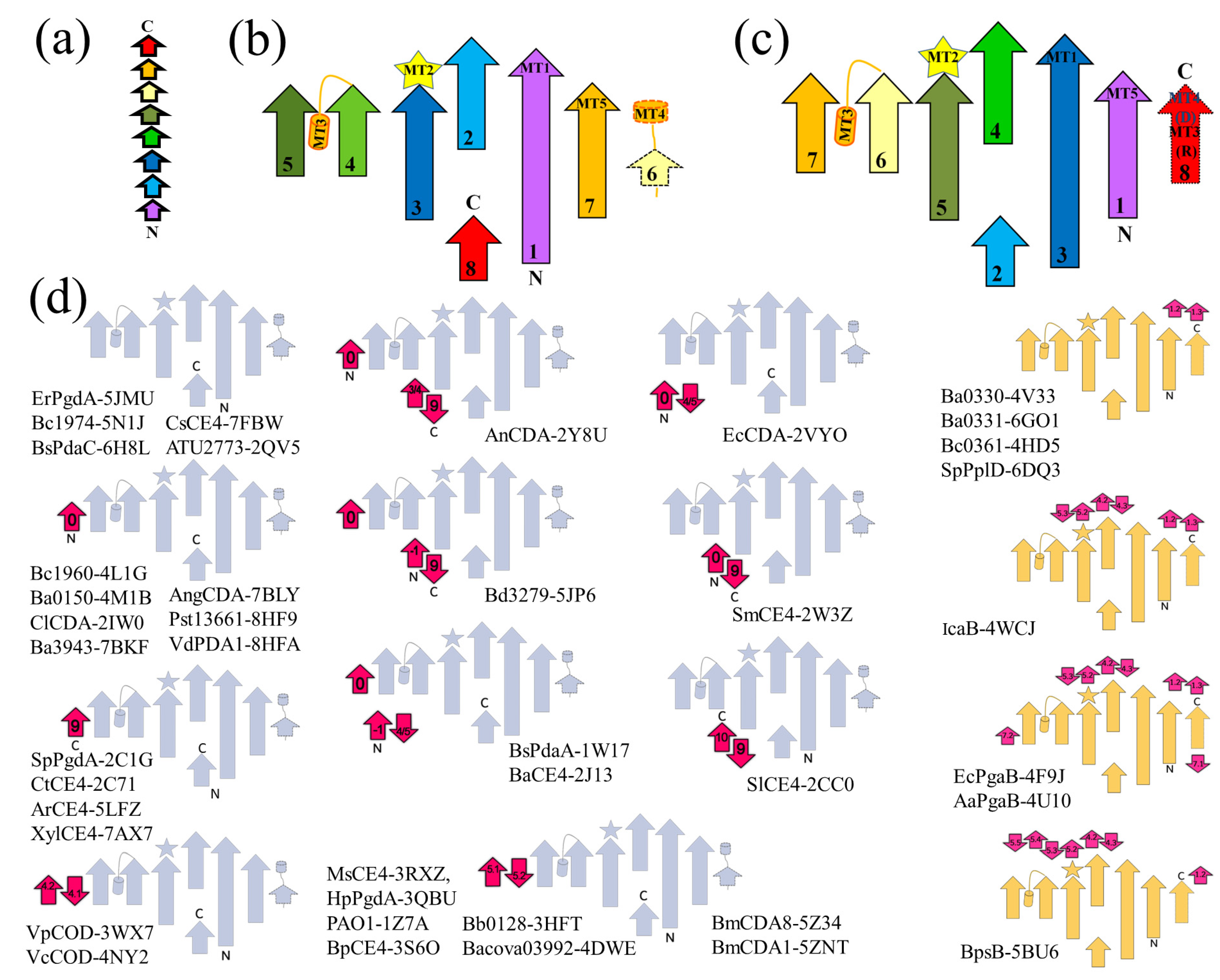Biomolecules 14 00325 g003