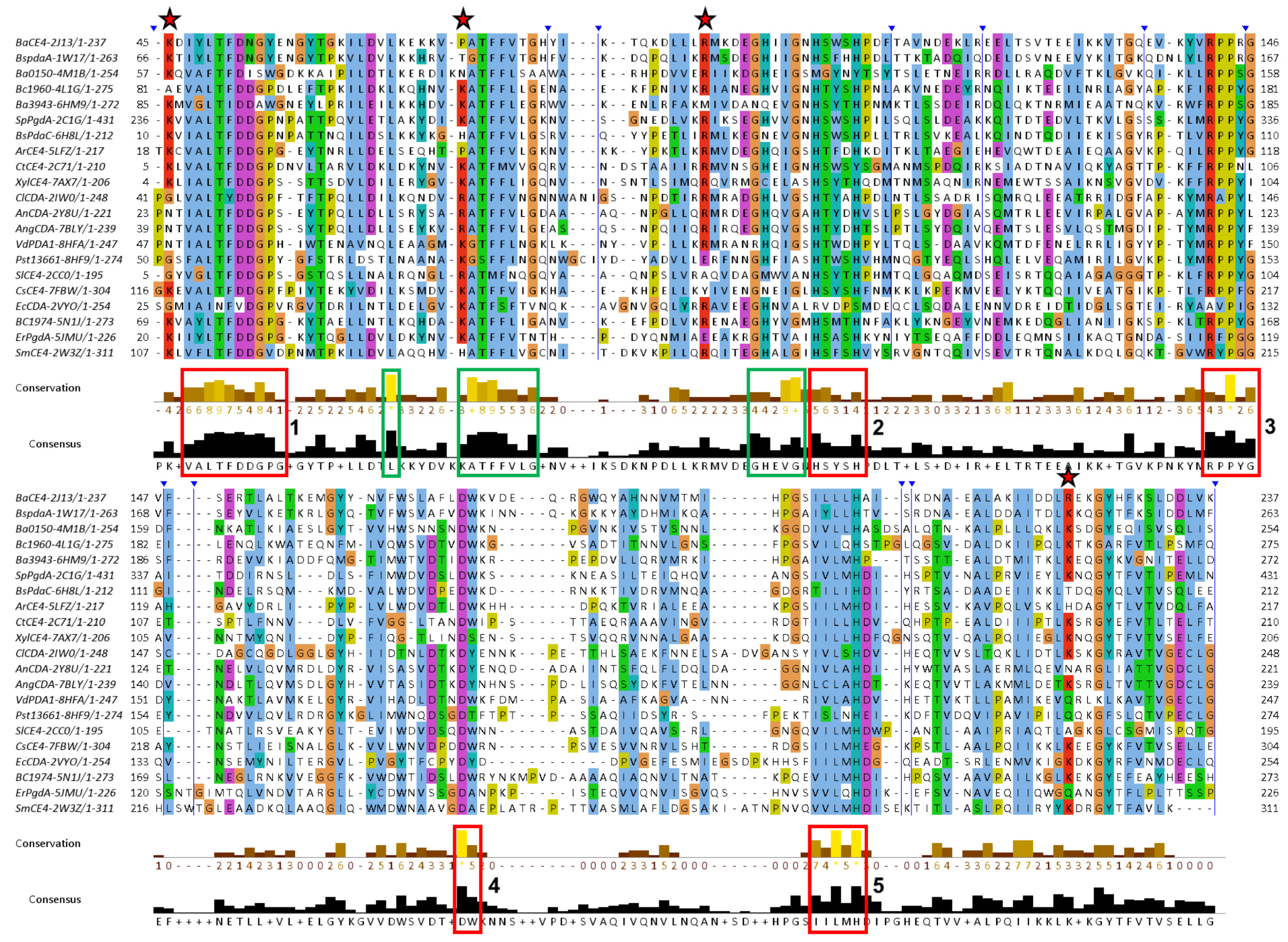 Biomolecules 14 00325 g004