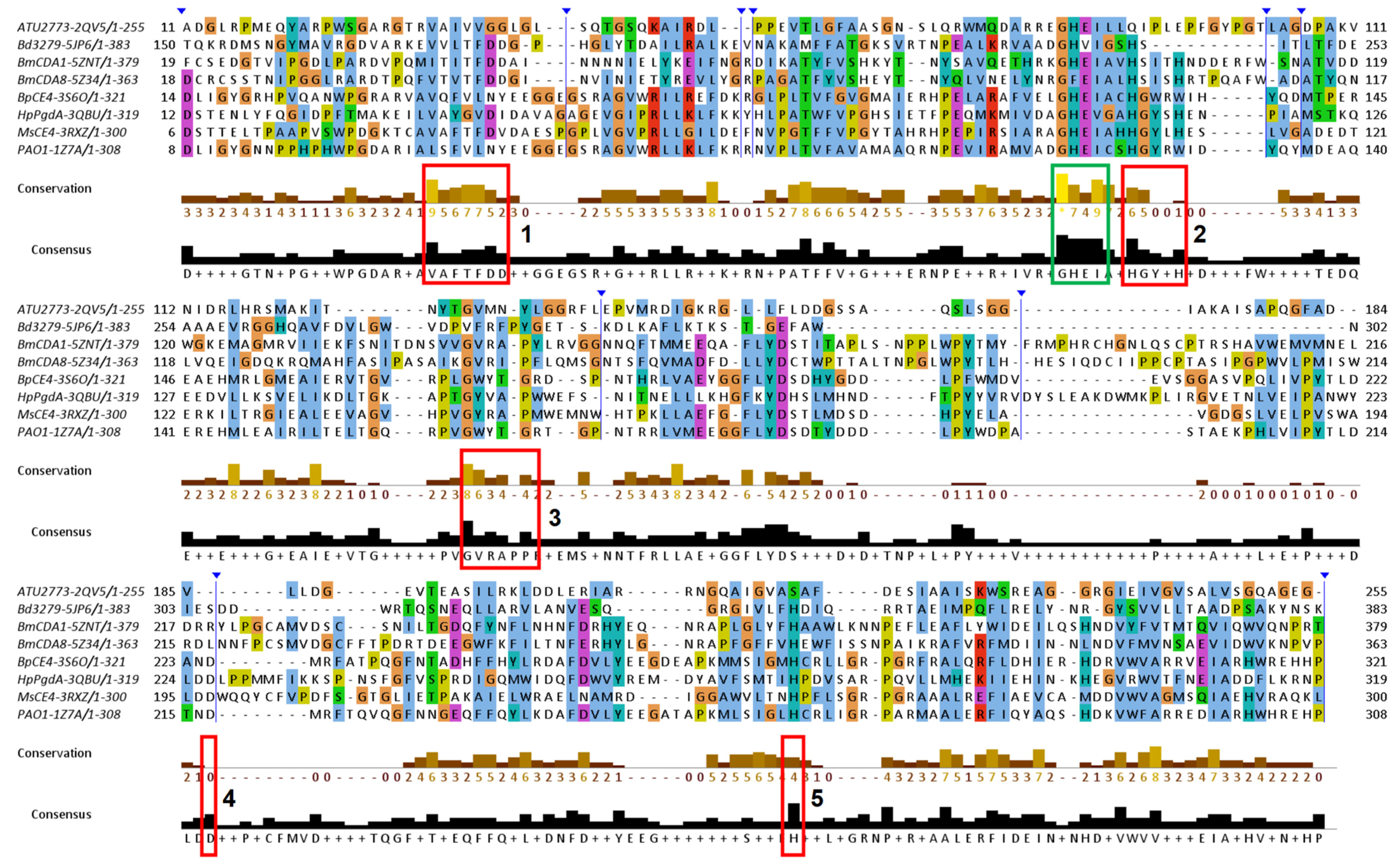 Biomolecules 14 00325 g005