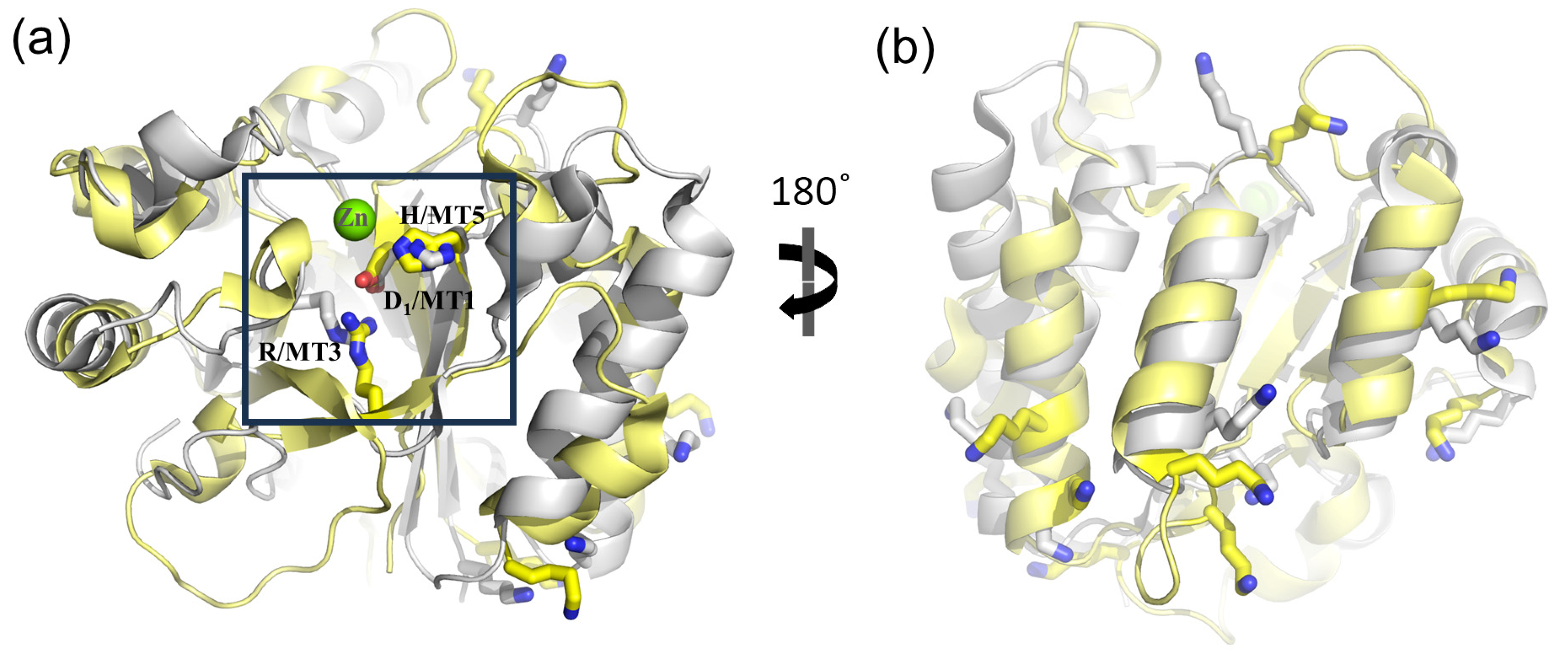 Biomolecules 14 00325 g007