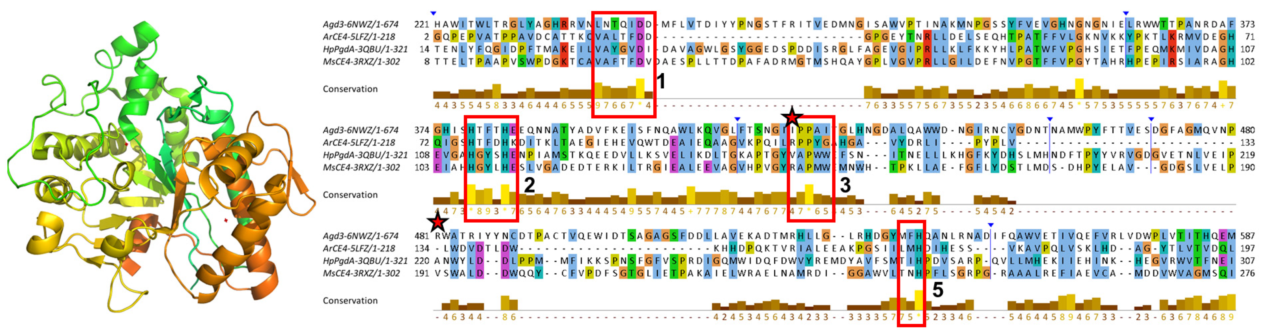 Biomolecules 14 00325 g010