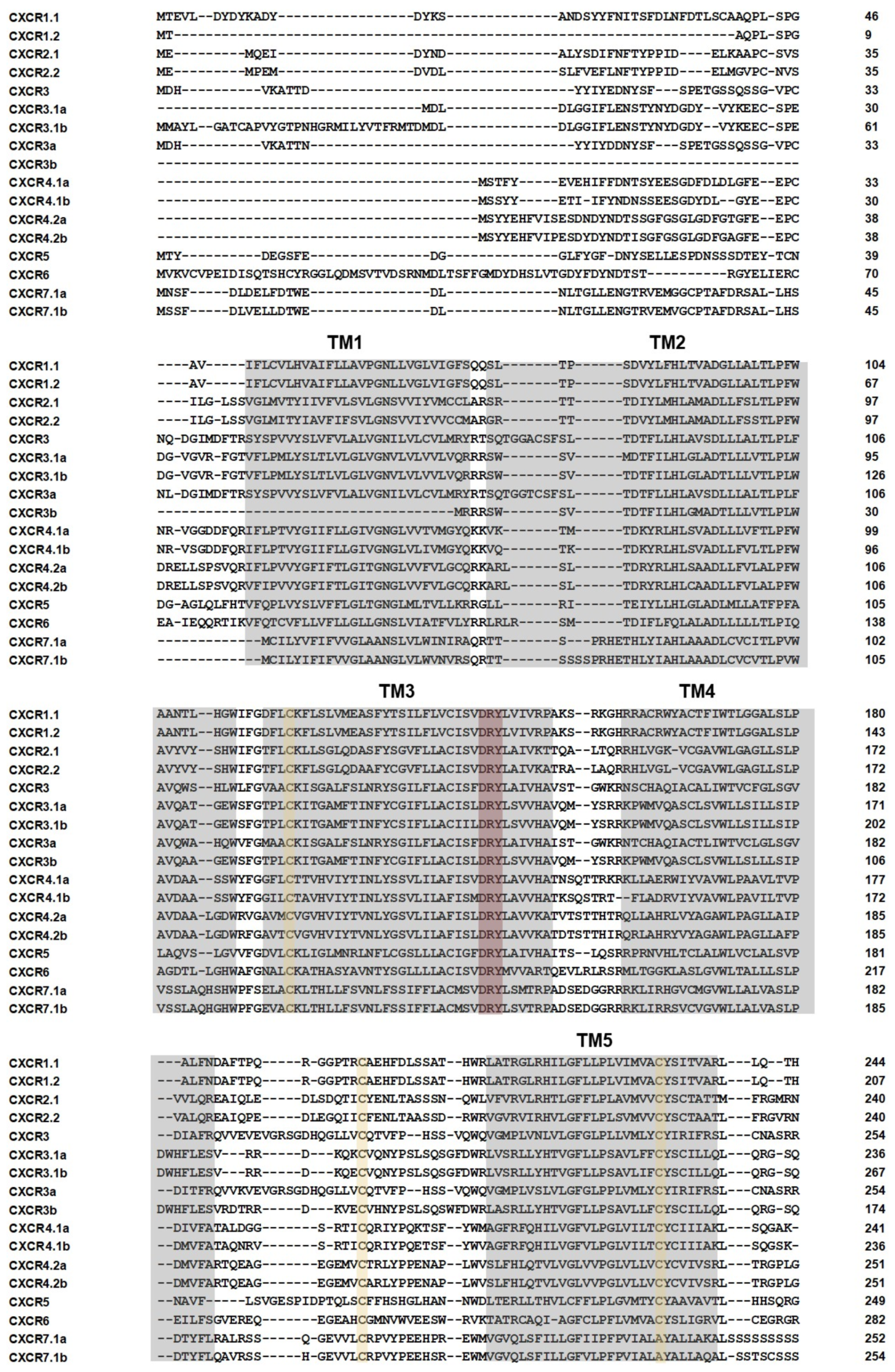 Biomolecules 14 00337 g002a