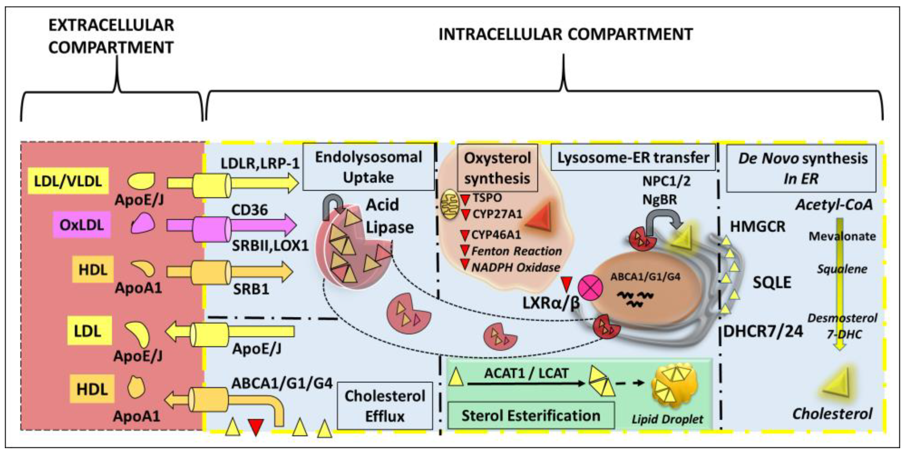 Biomolecules 14 00341 g002 Biomolecules 14 00341 g002