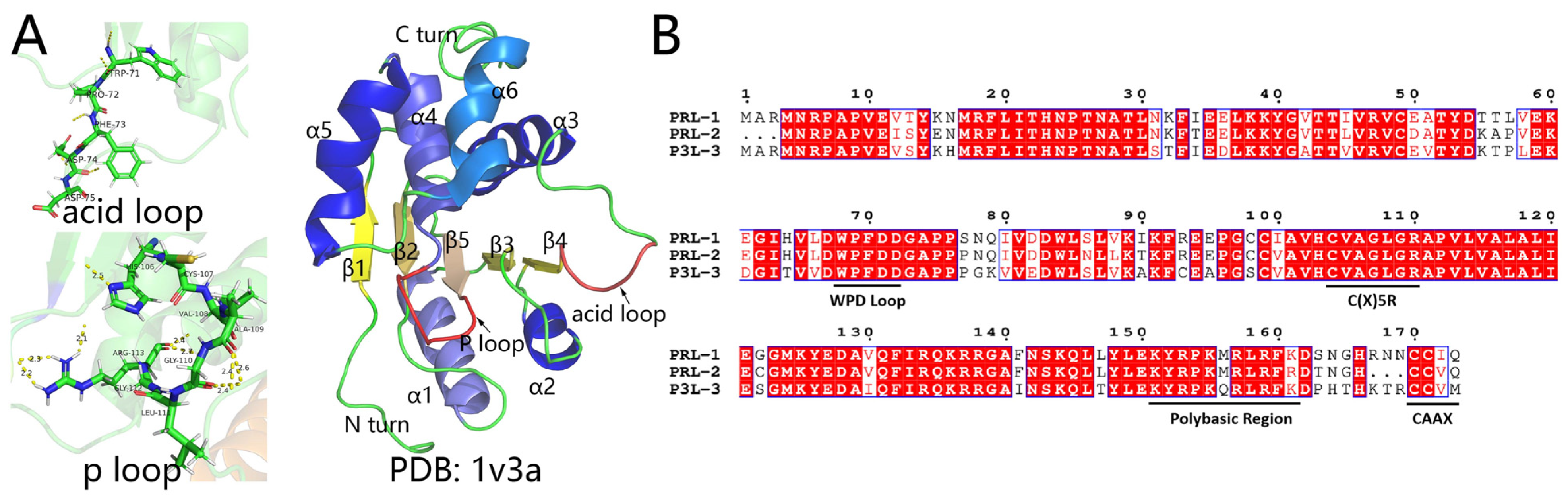 Biomolecules 14 00342 g001 Biomolecules 14 00342 g001