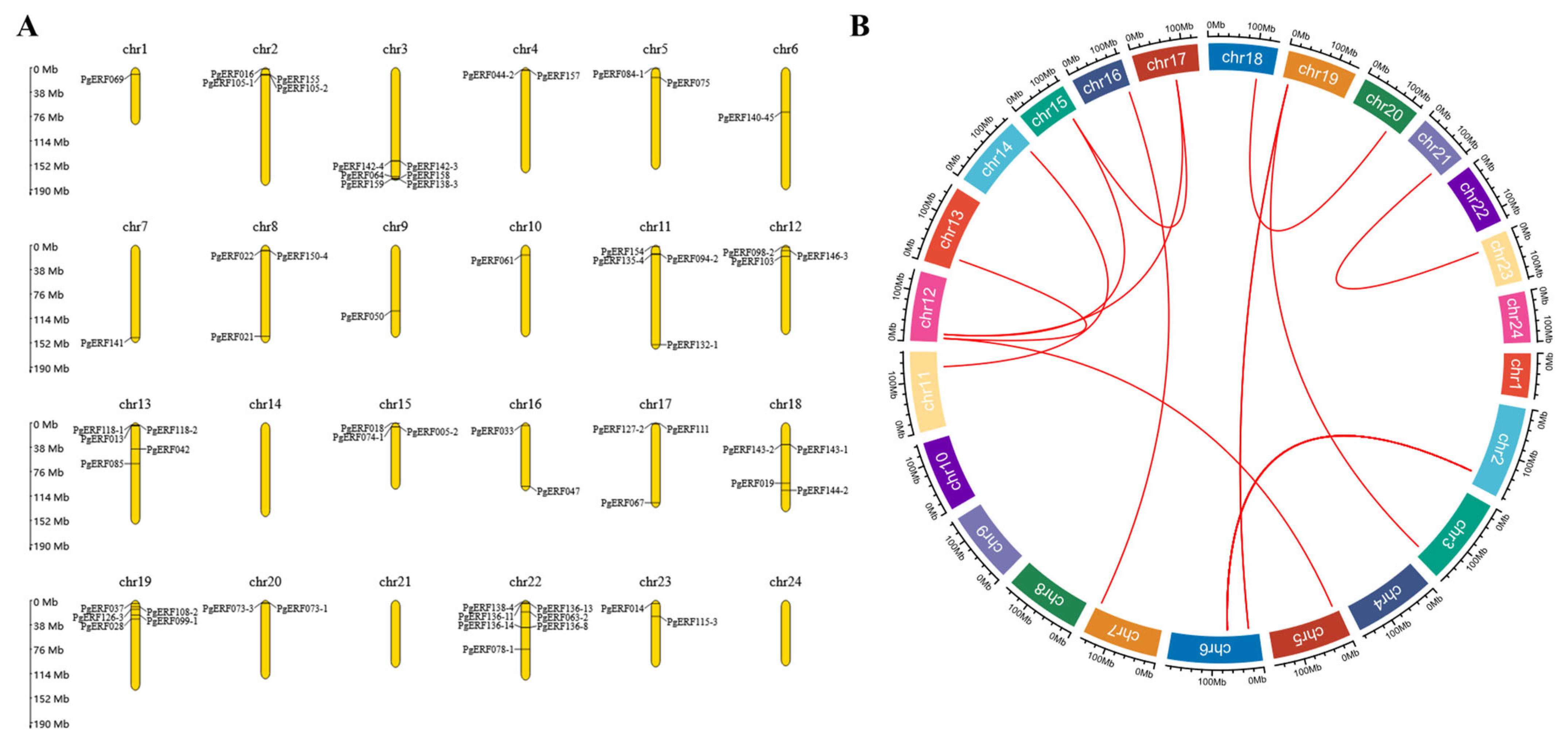 Biomolecules 14 00345 g001