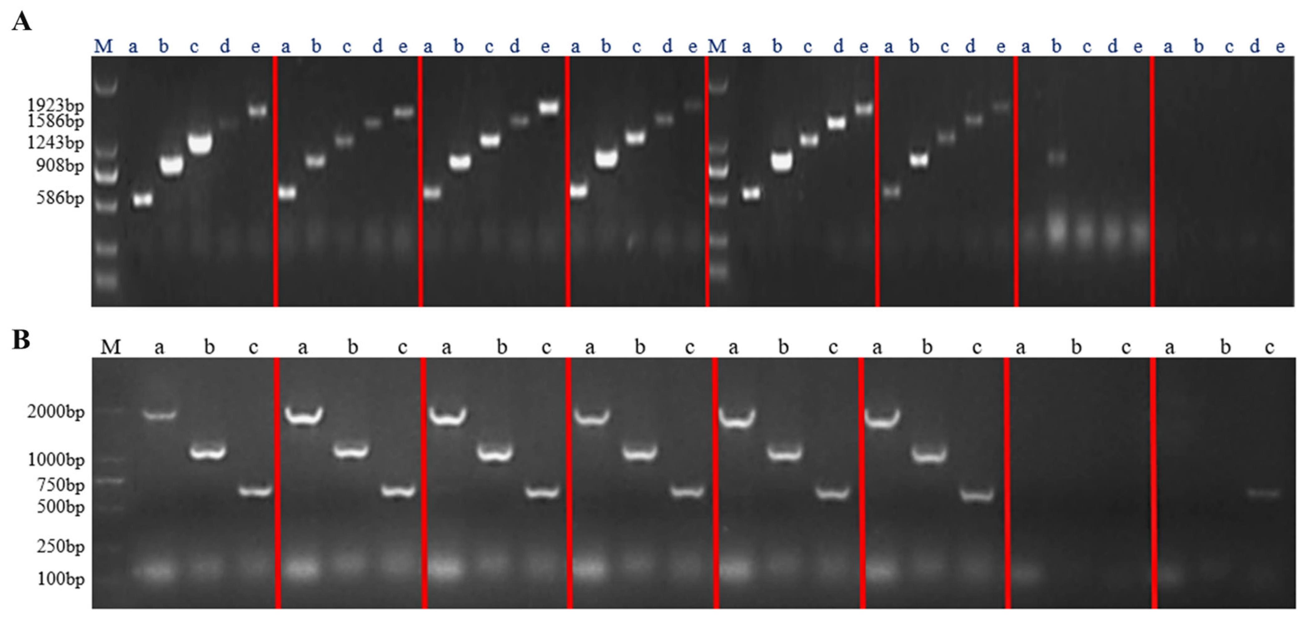 Biomolecules 14 00345 g008