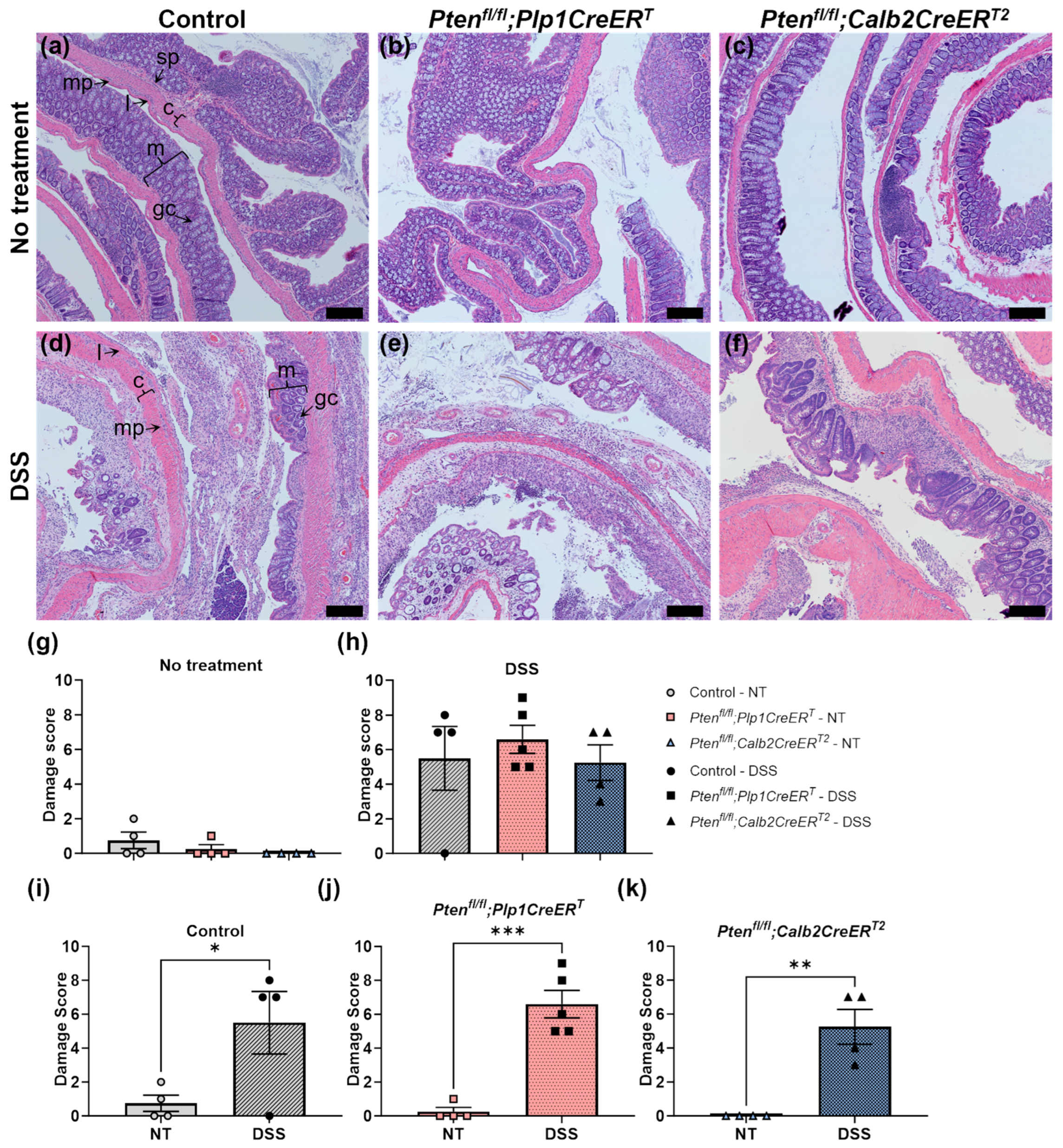 Biomolecules 14 00346 g002