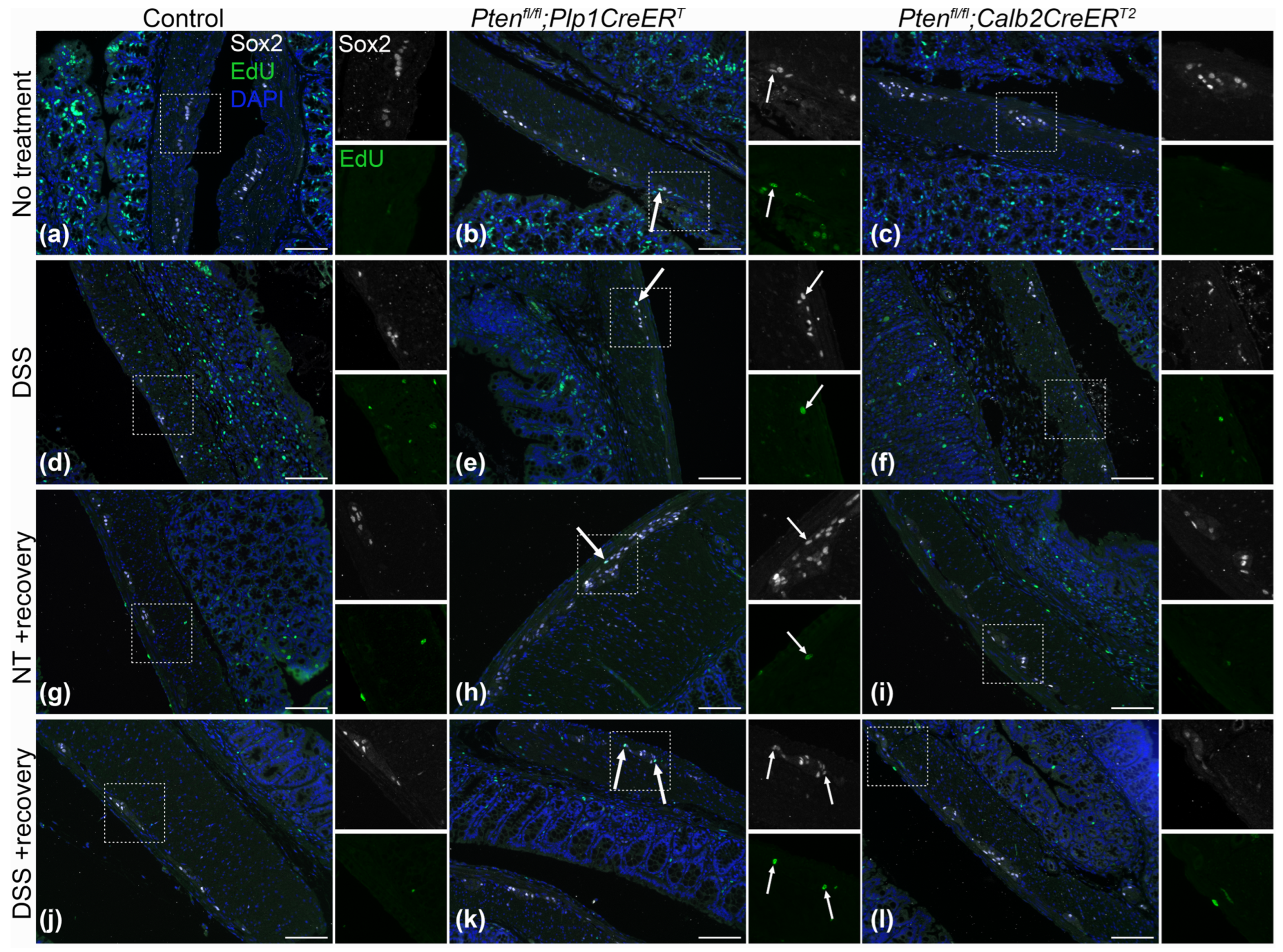 Biomolecules 14 00346 g009