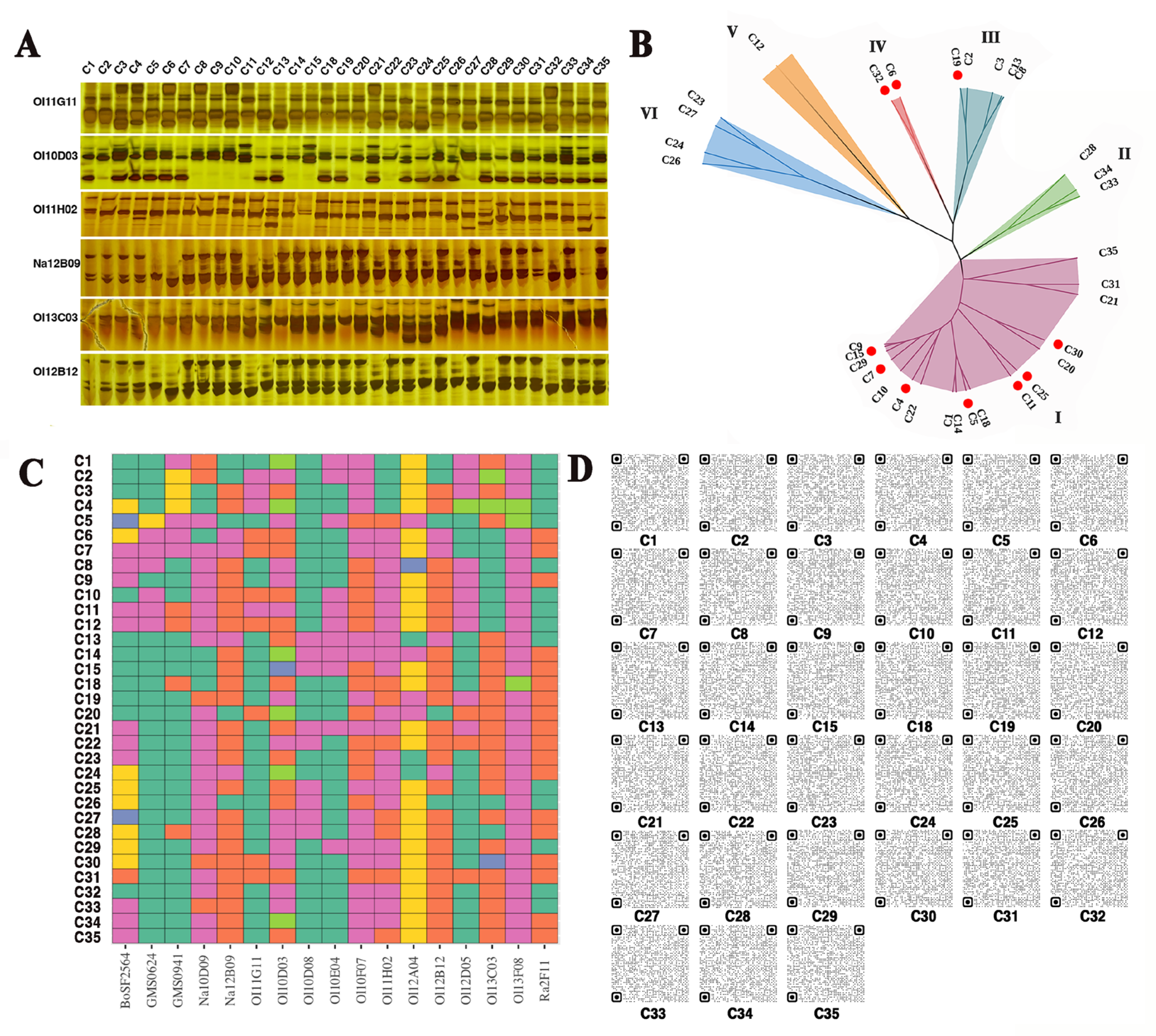 Biomolecules 14 00352 g001