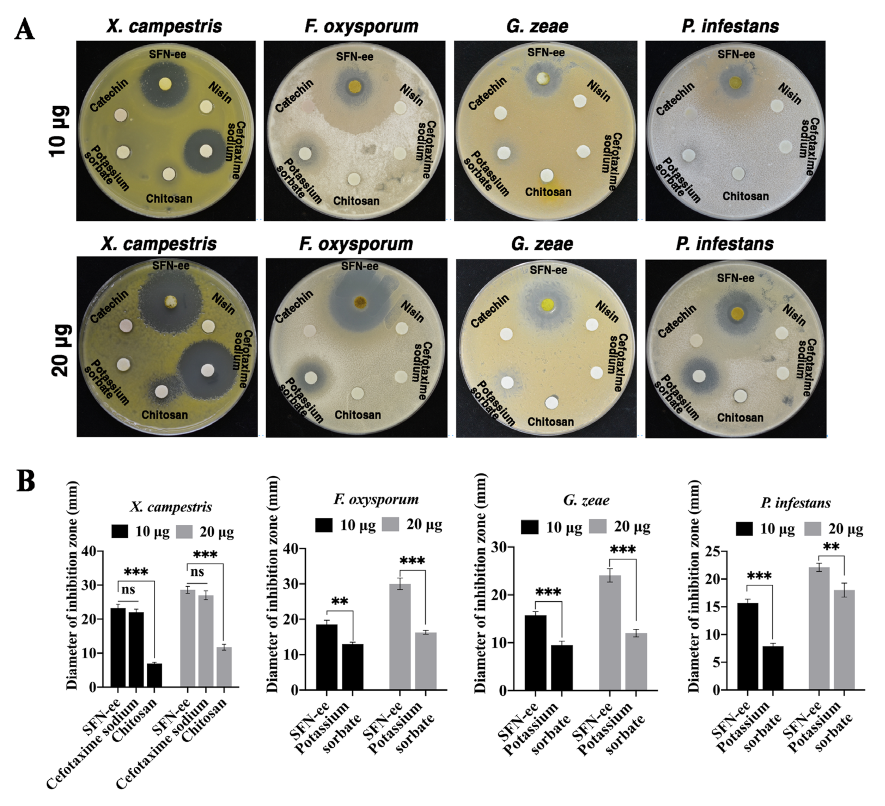 Biomolecules 14 00352 g005