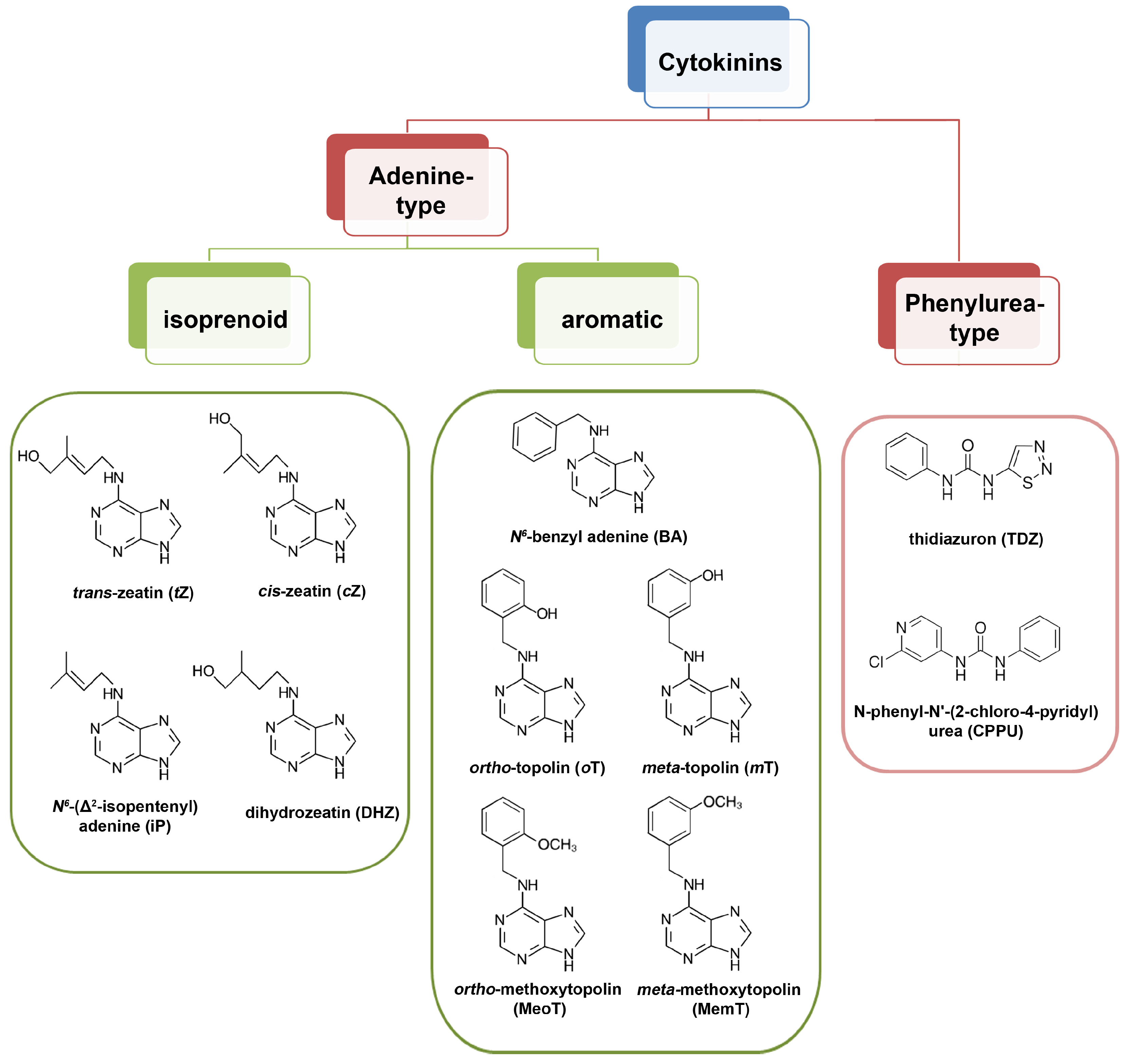 Biomolecules 14 00381 g002