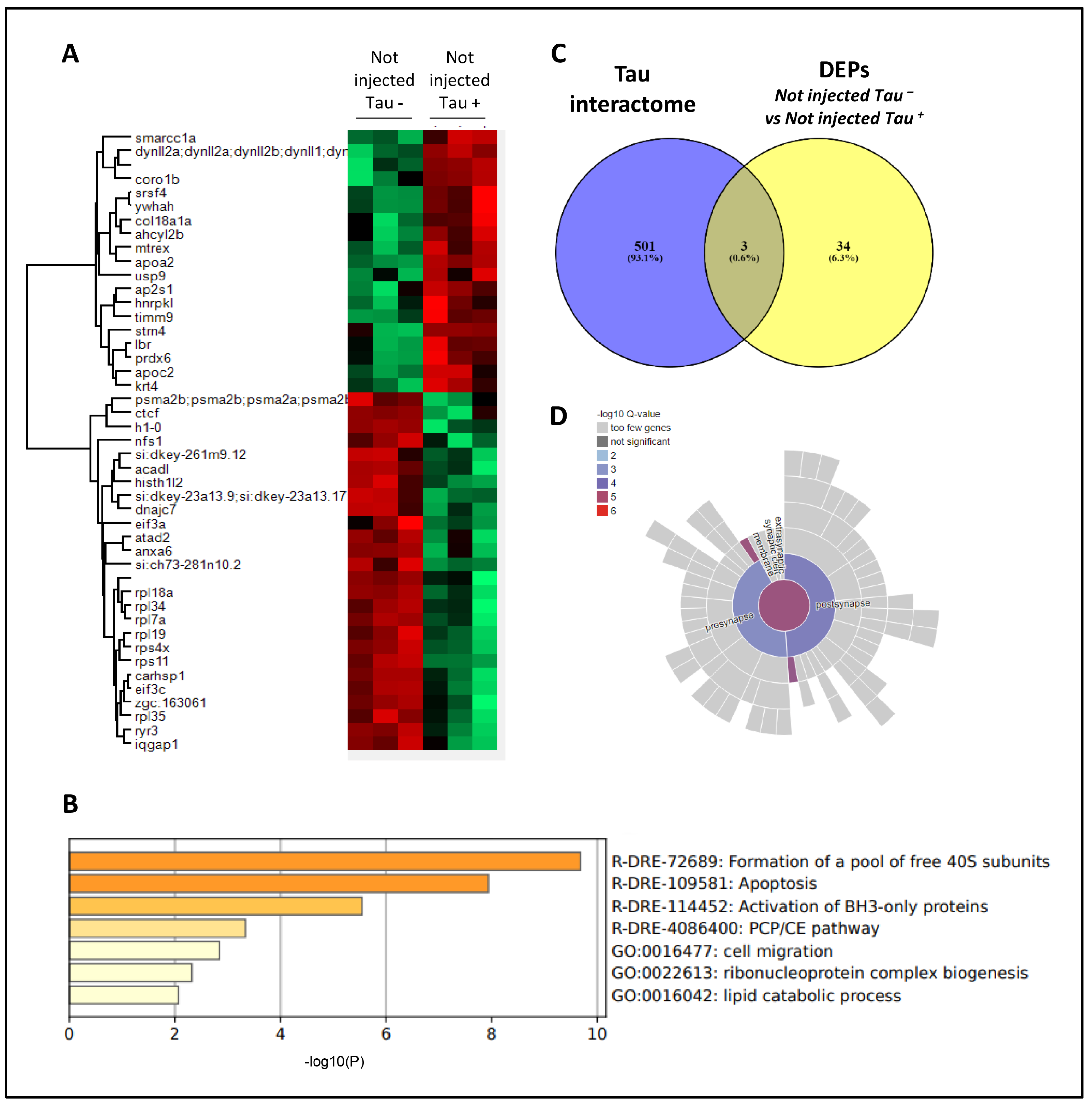 Biomolecules 14 00394 g005