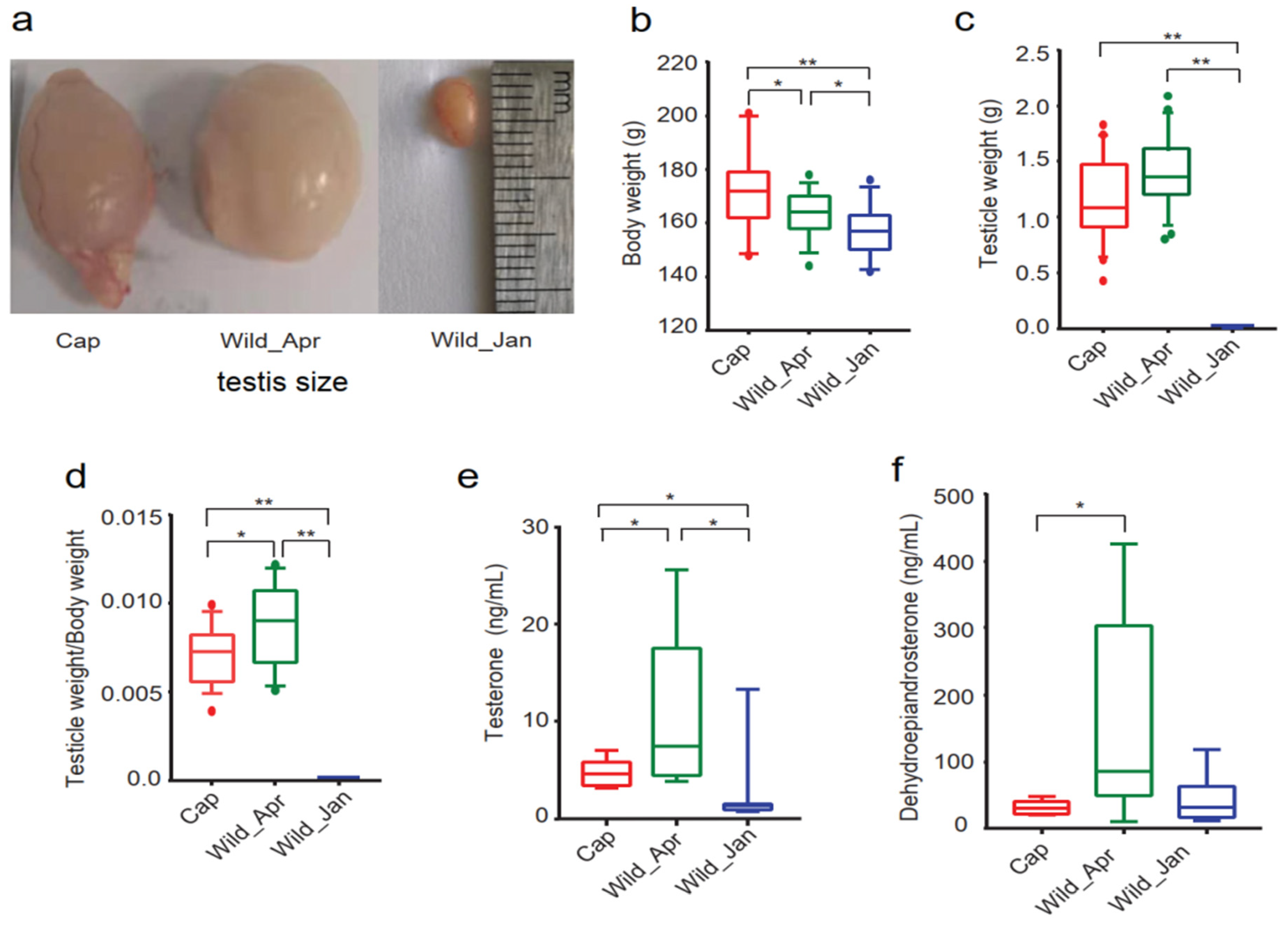 Biomolecules 14 00403 g001 Biomolecules 14 00403 g001
