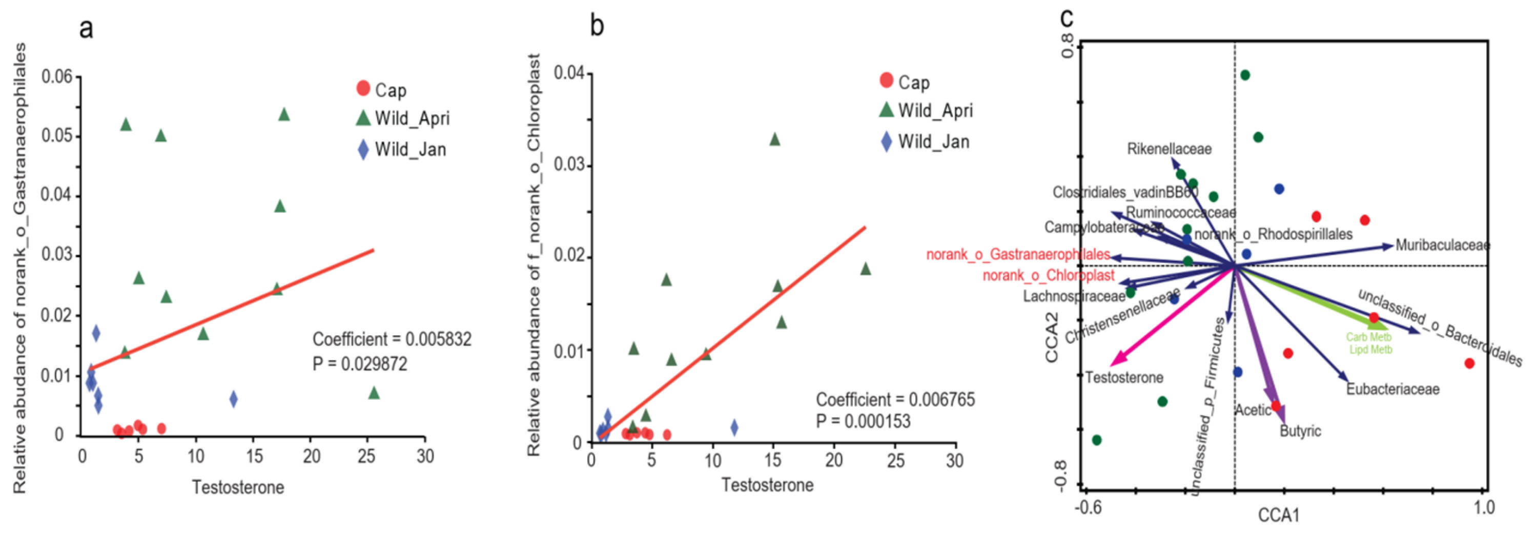 Biomolecules 14 00403 g006 Biomolecules 14 00403 g006