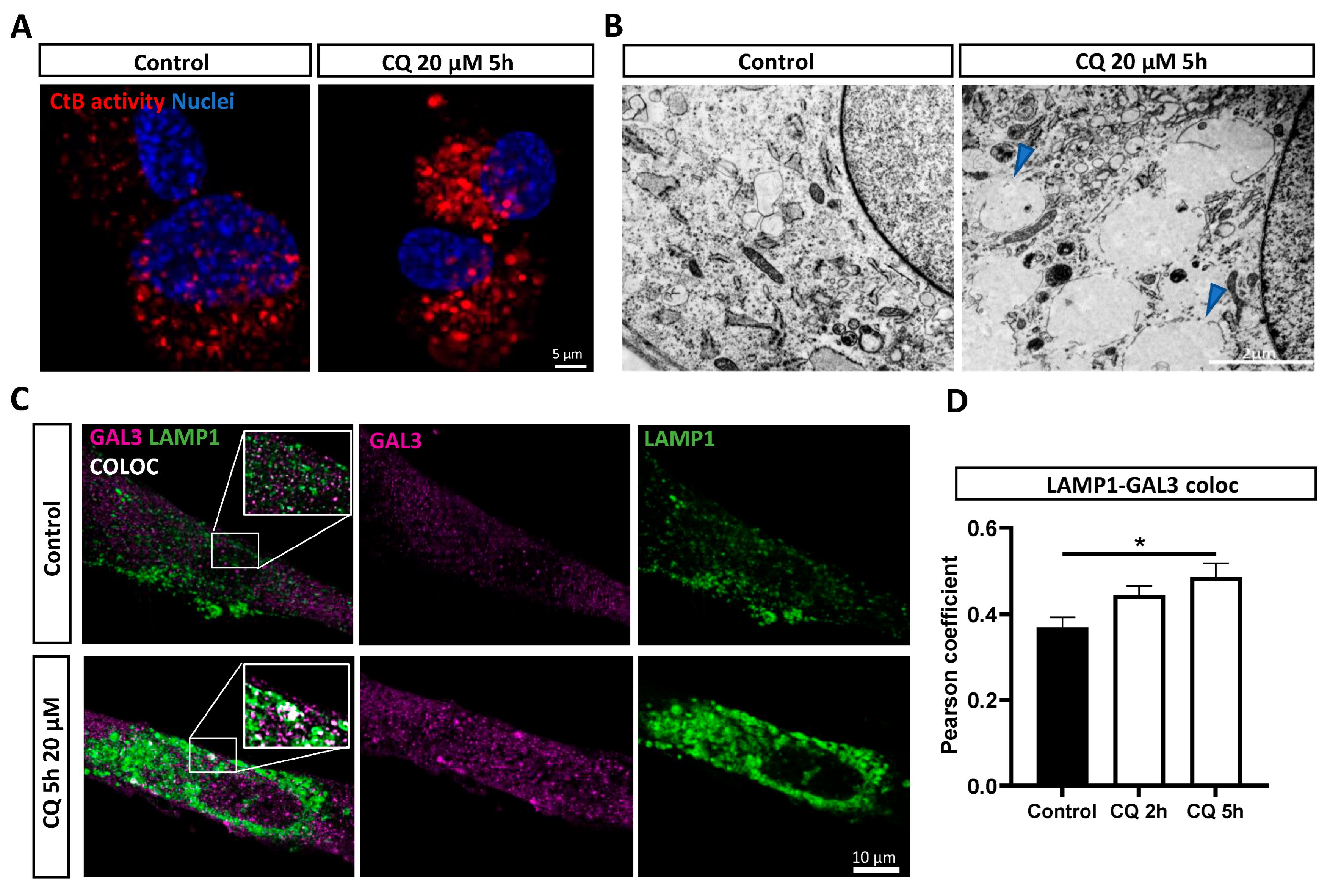Biomolecules 14 00405 g003