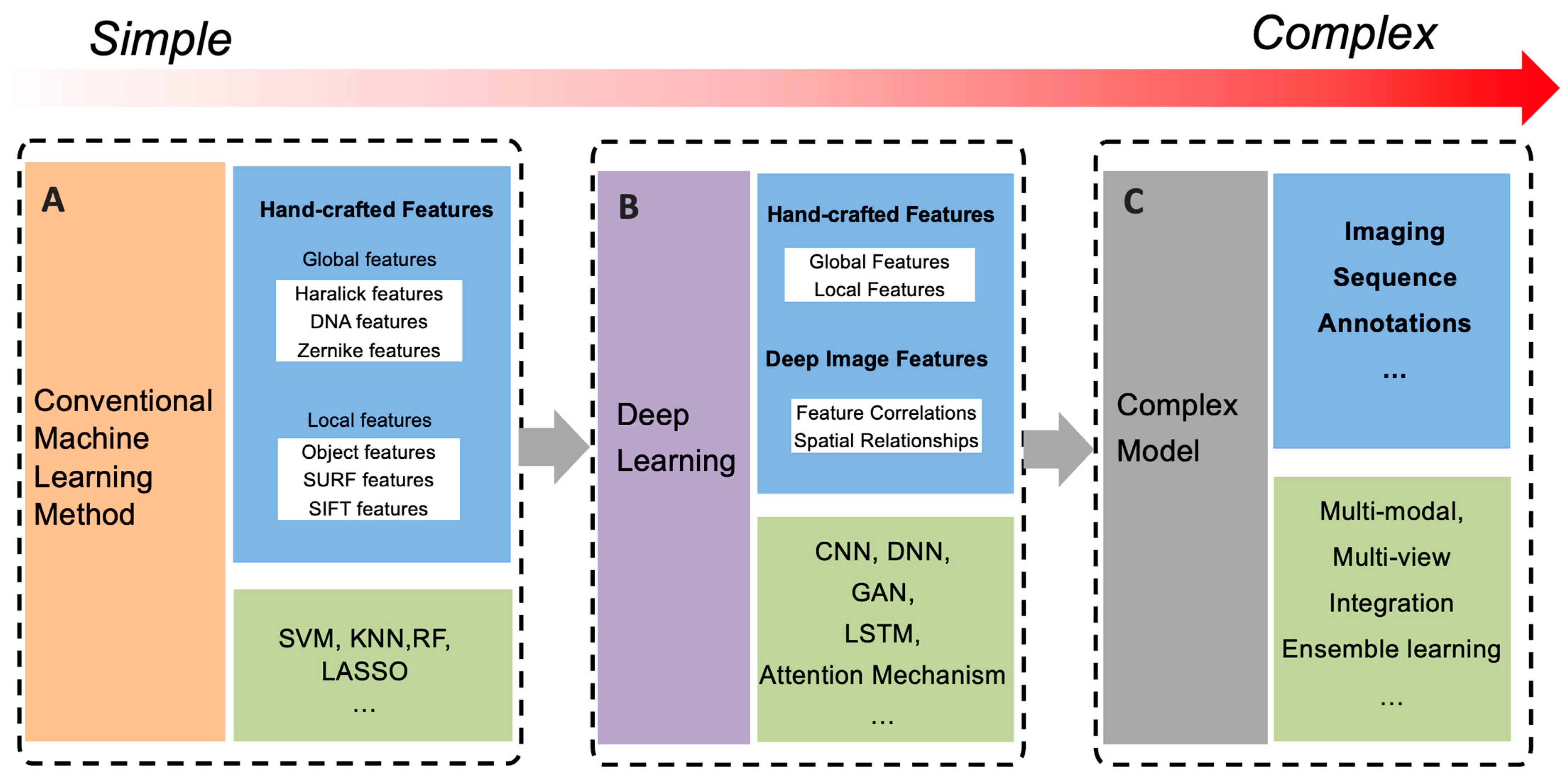 Biomolecules 14 00409 g003 Biomolecules 14 00409 g003