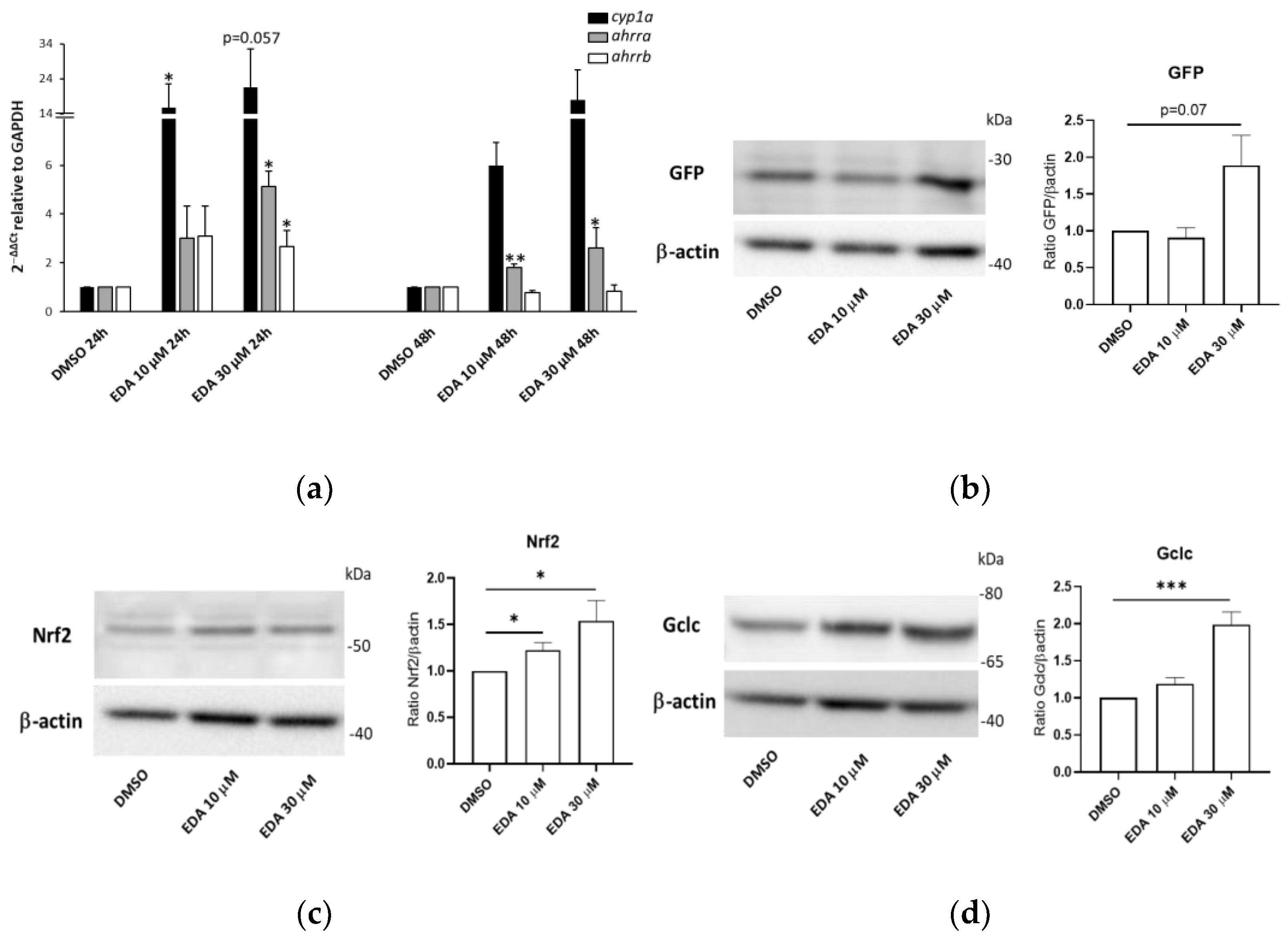 Biomolecules 14 00443 g006