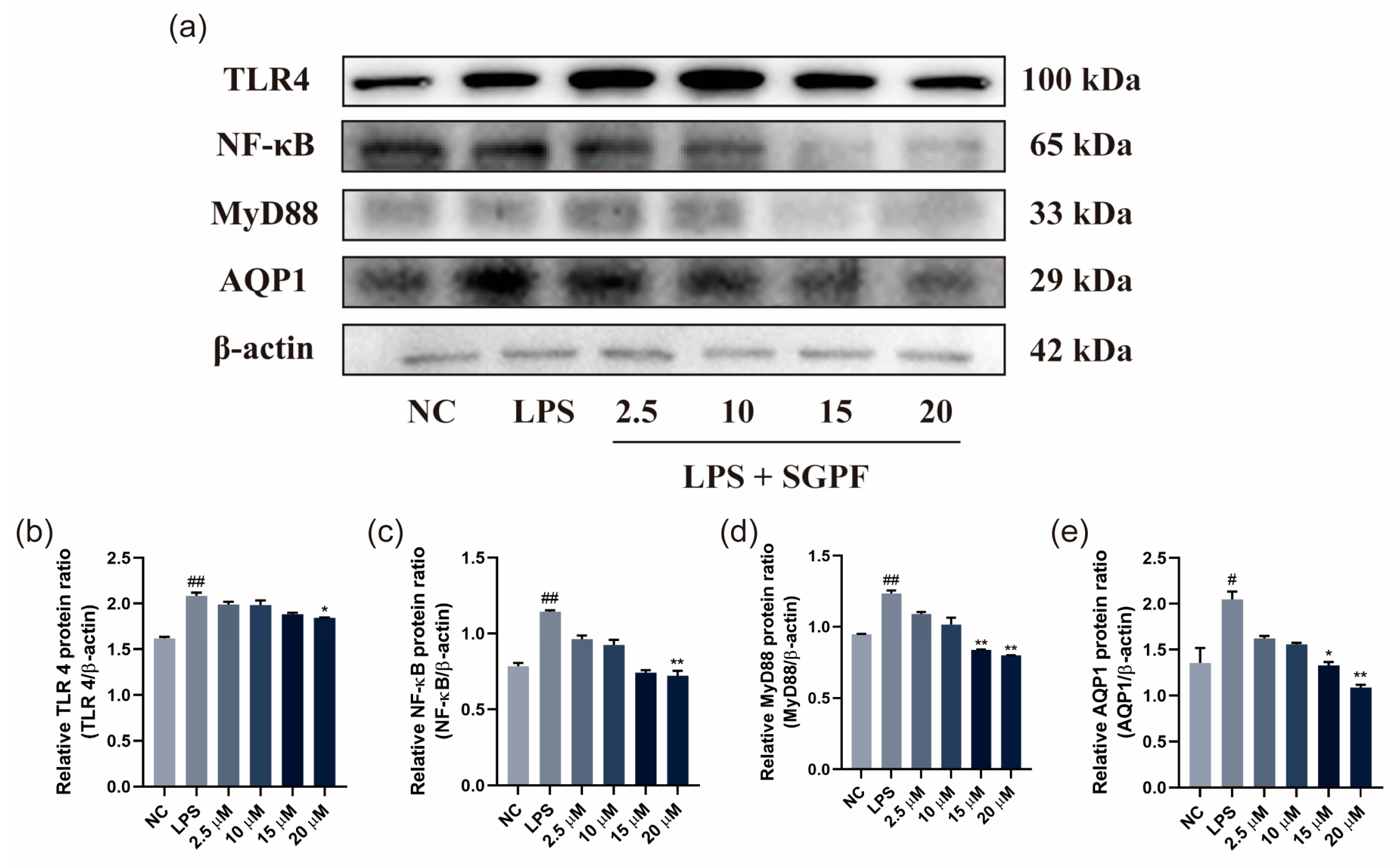 Biomolecules 14 00450 g006