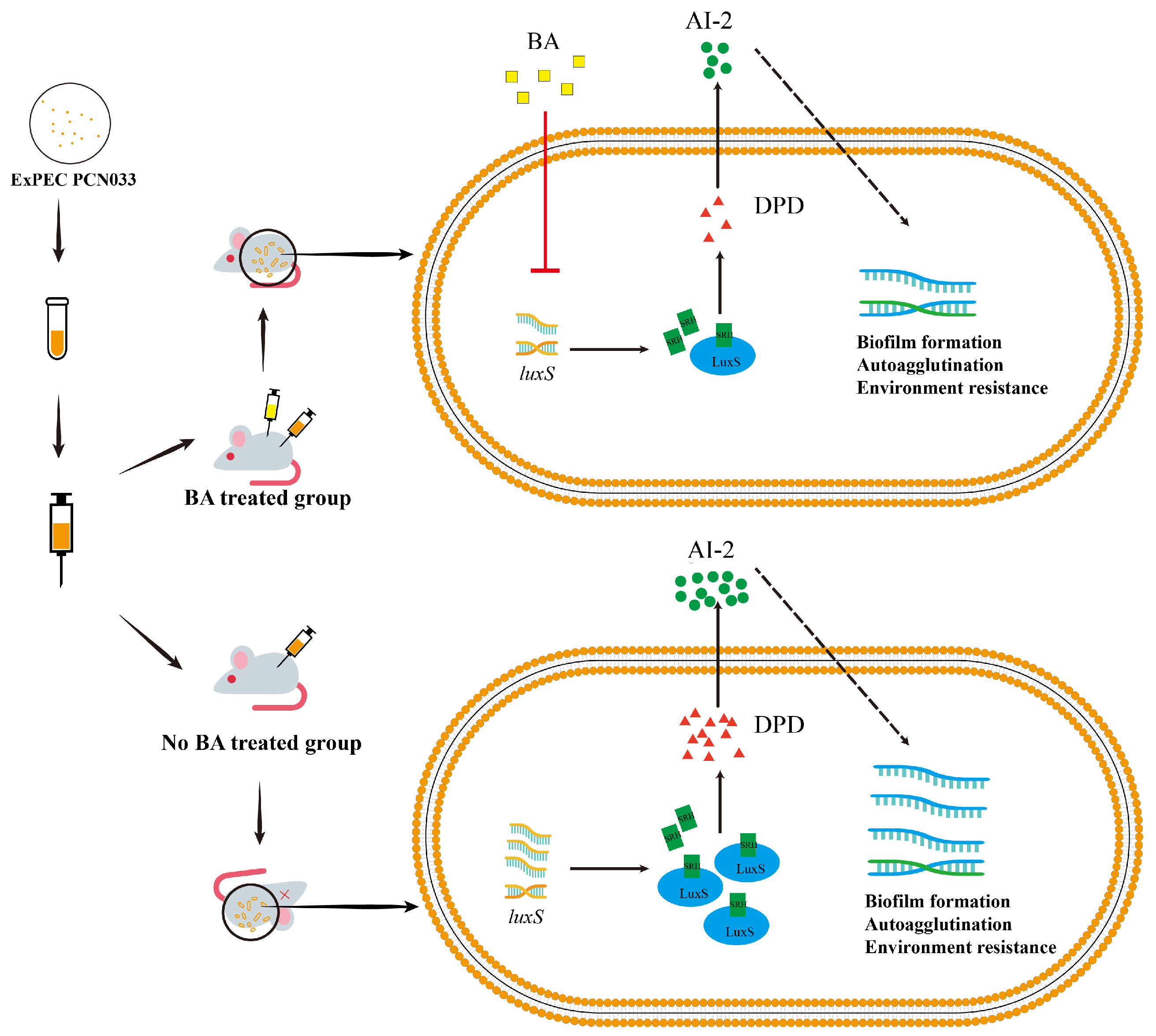 Biomolecules 14 00452 g009