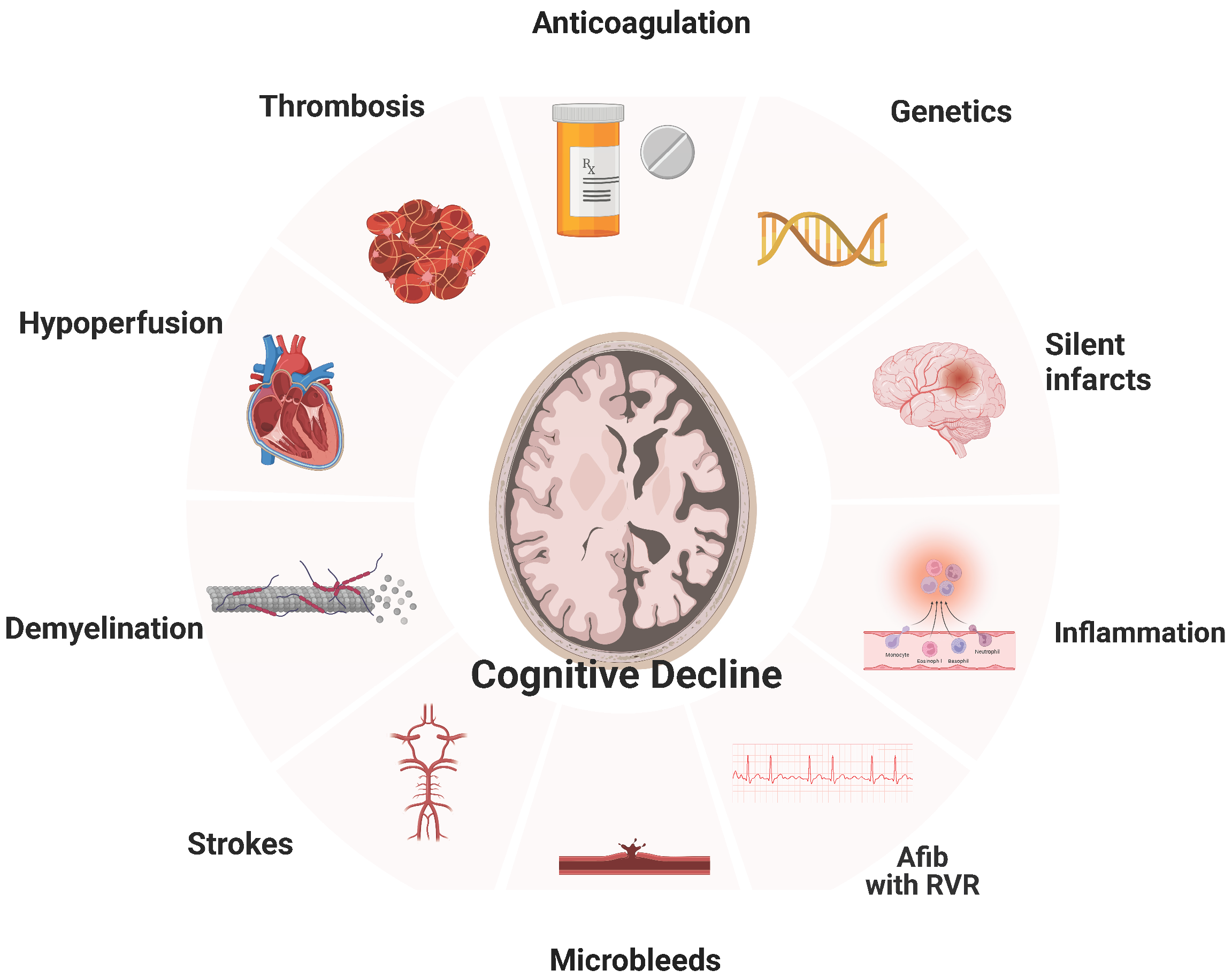 Biomolecules 14 00455 g001