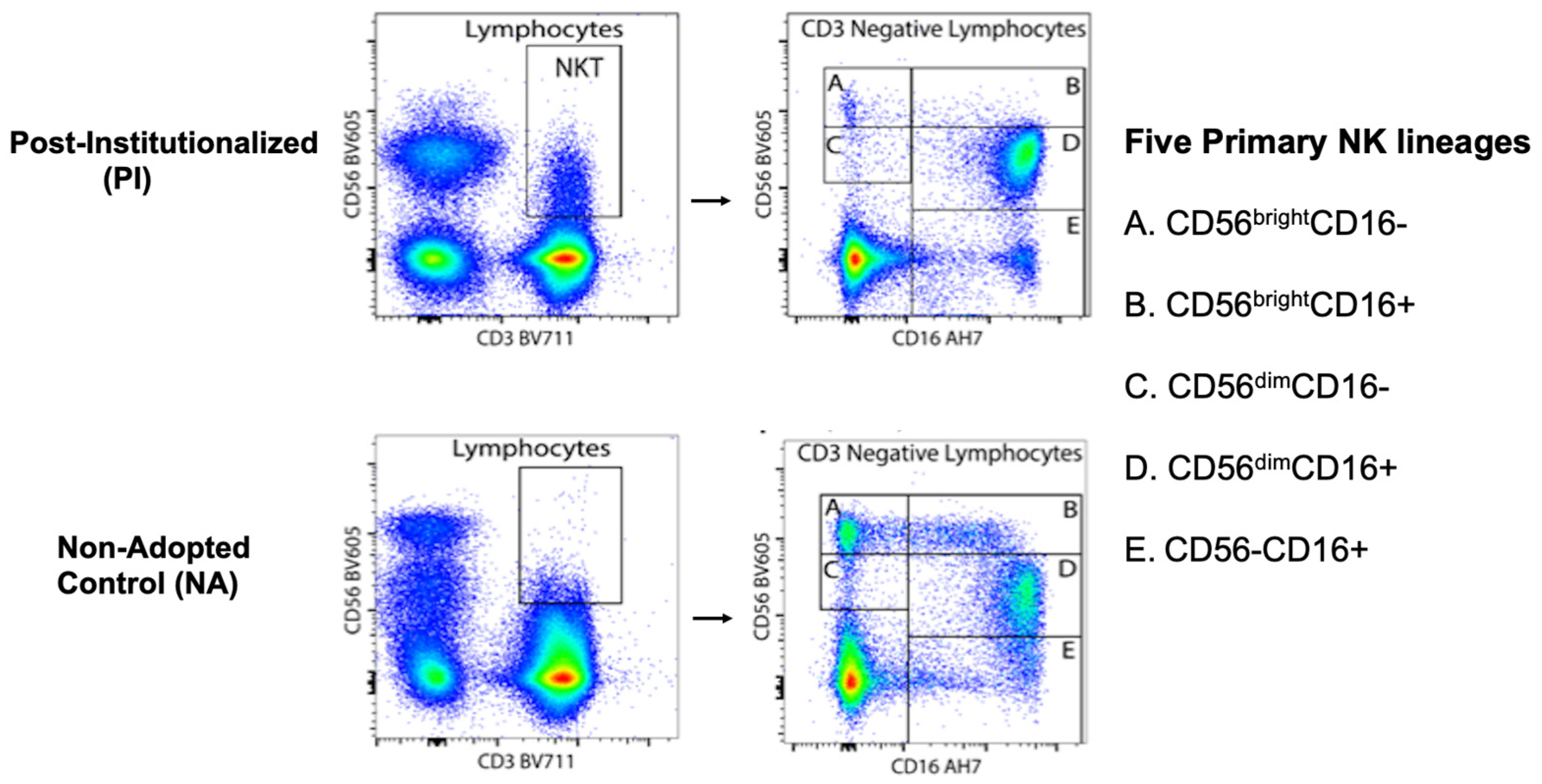 Biomolecules 14 00456 g0a1 Biomolecules 14 00456 g0a1