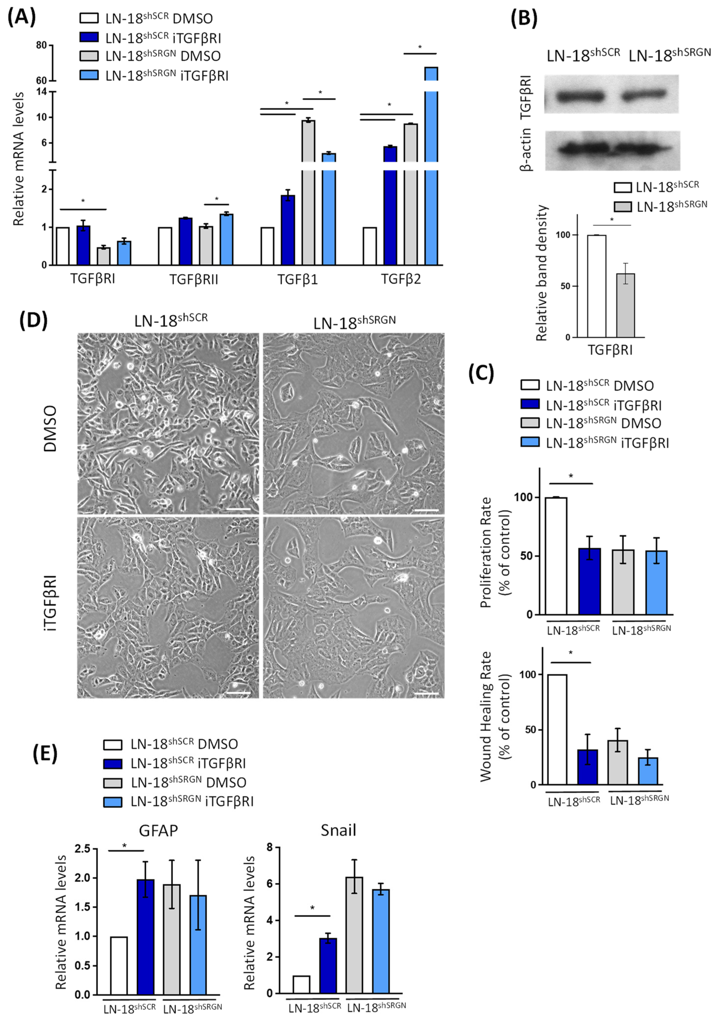 Biomolecules 14 00461 g002 Biomolecules 14 00461 g002