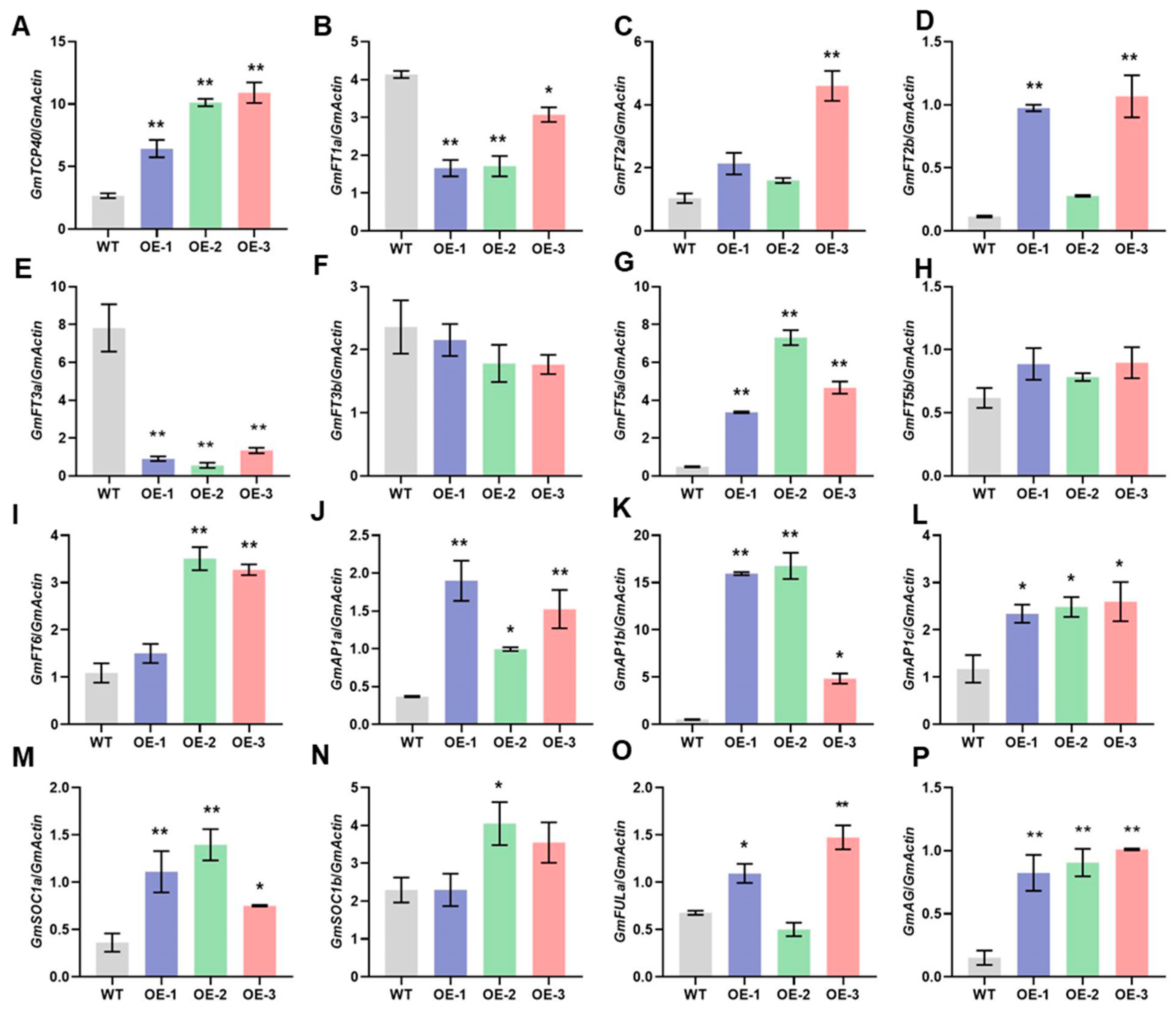 Biomolecules 14 00465 g003