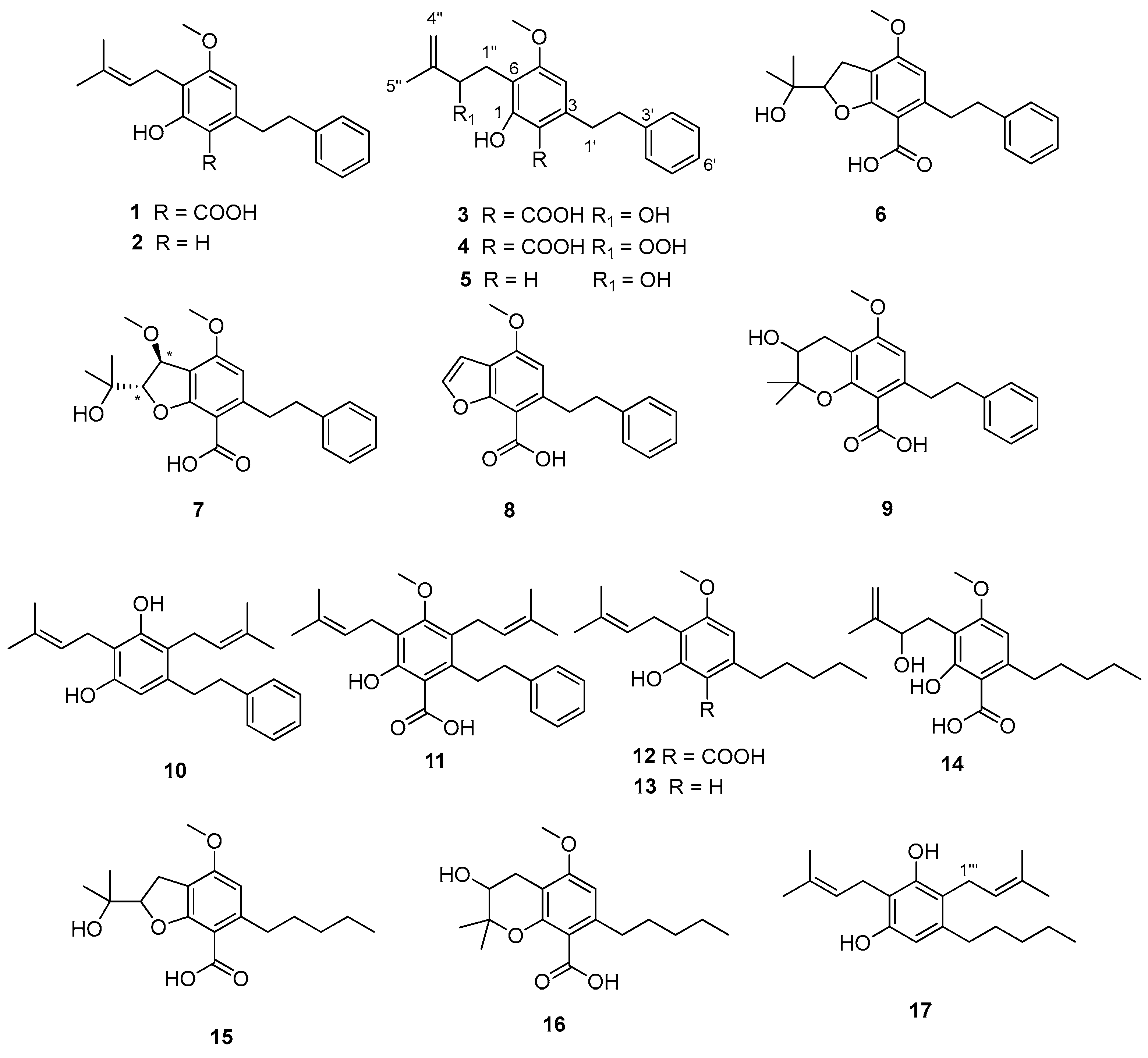 Biomolecules 14 00467 g001