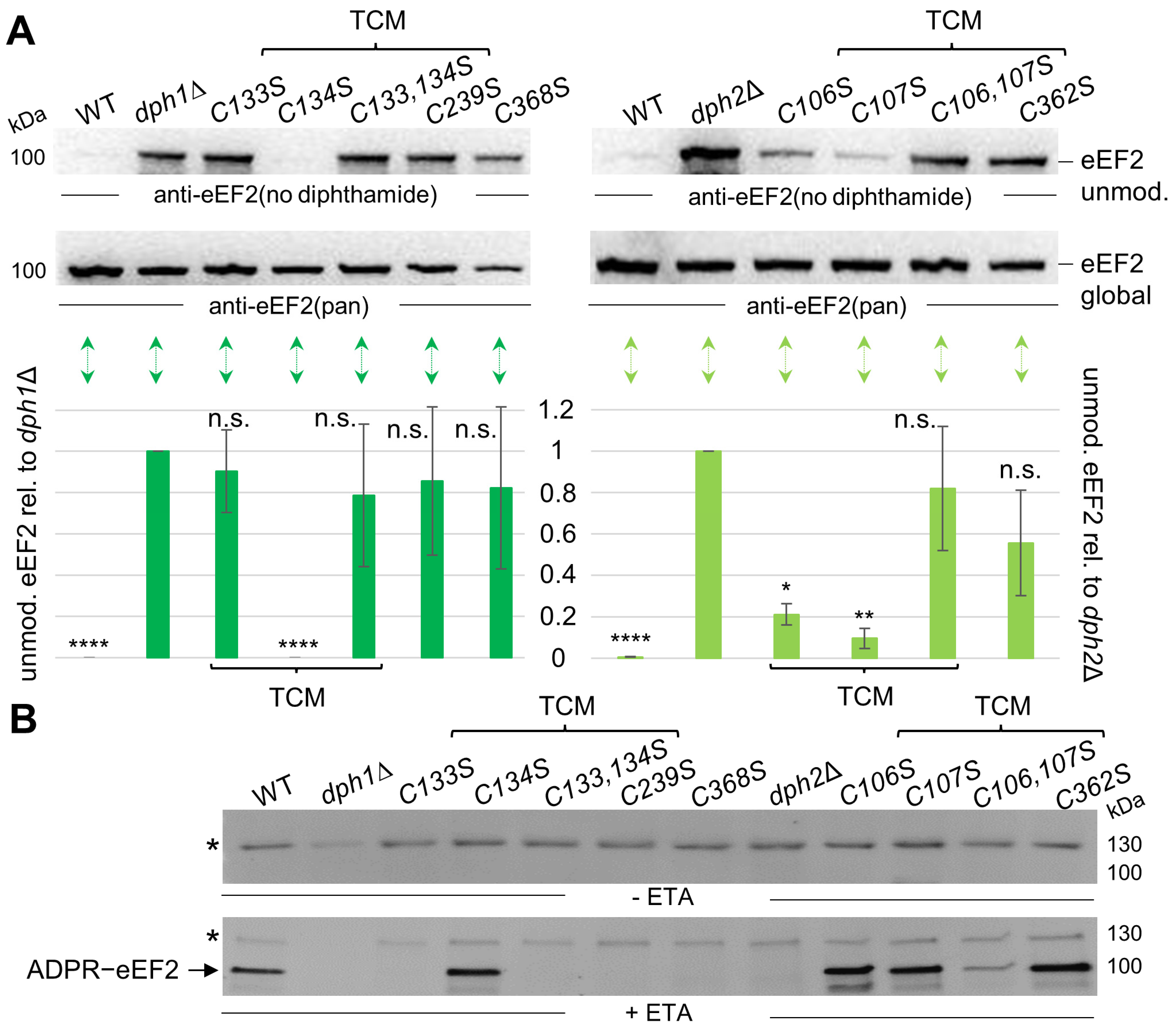 Biomolecules 14 00470 g003