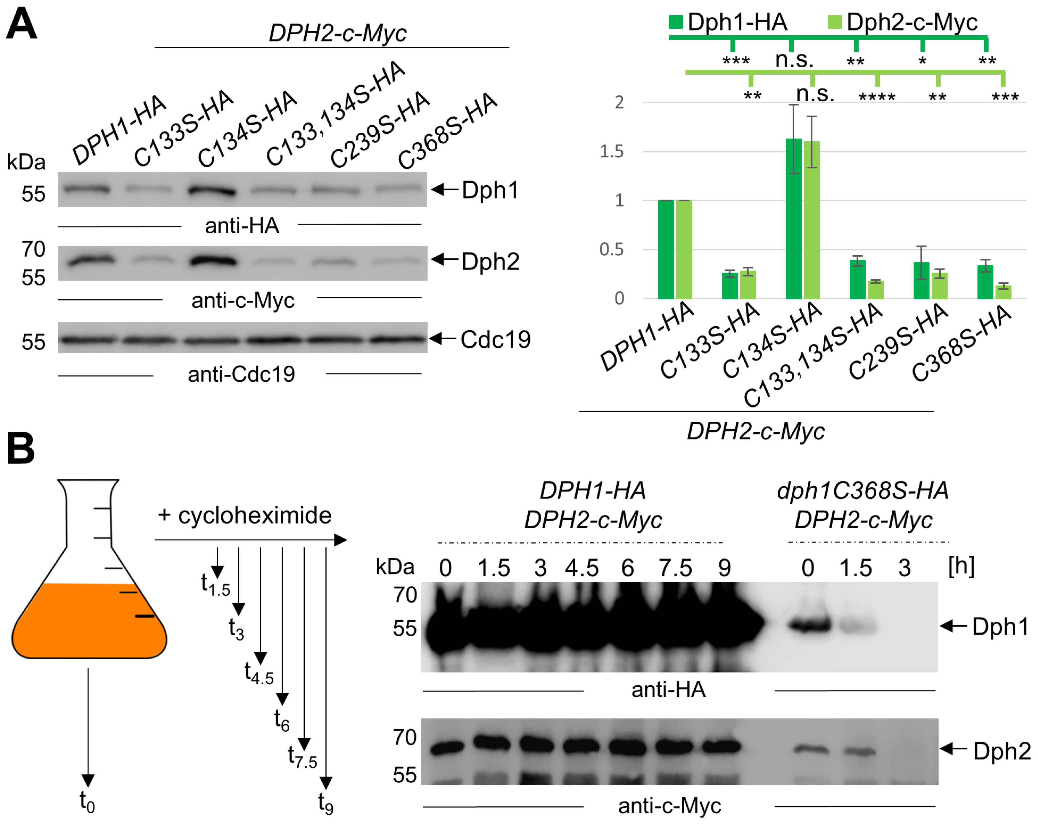 Biomolecules 14 00470 g004