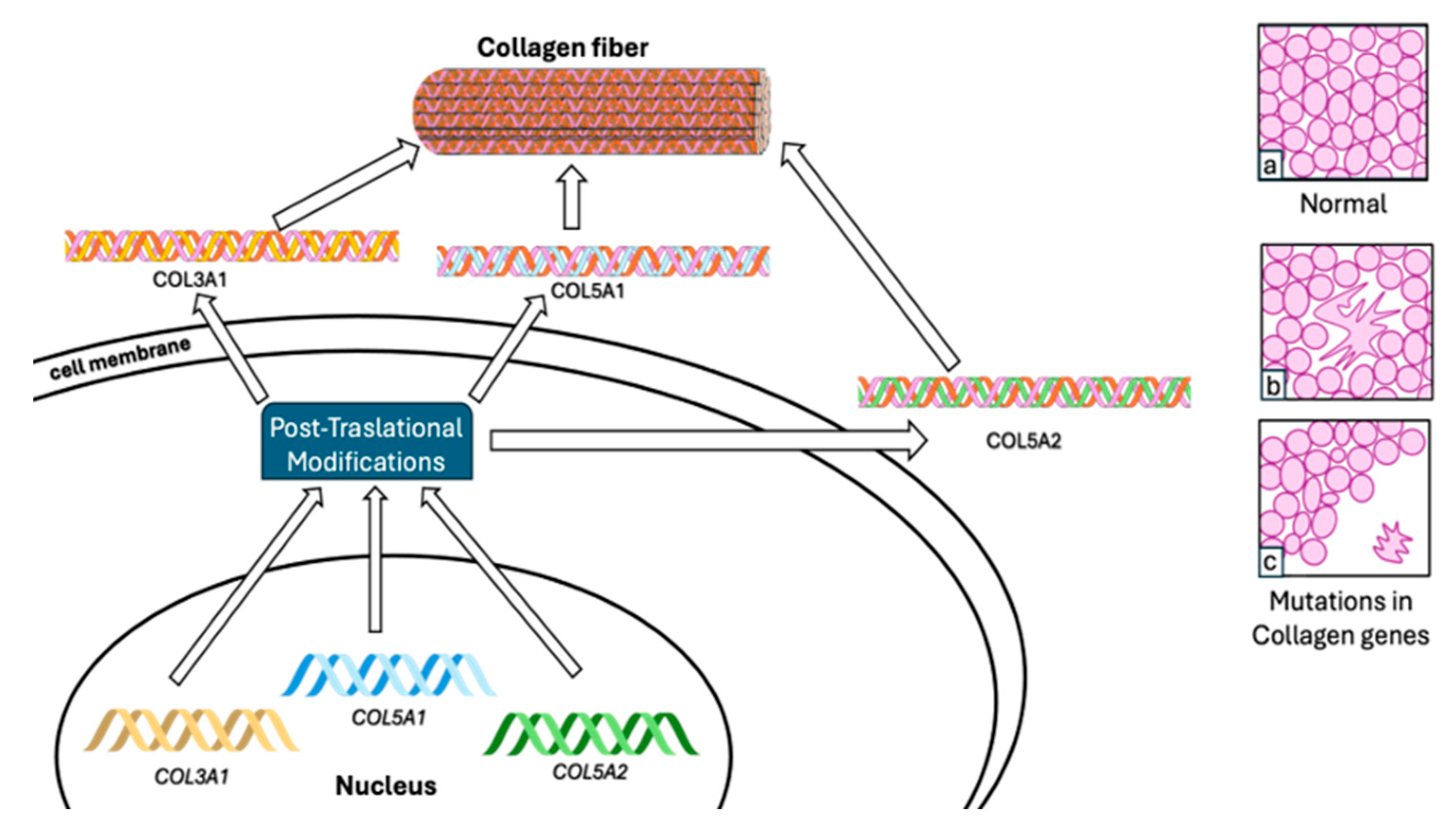 Biomolecules 14 00472 g001