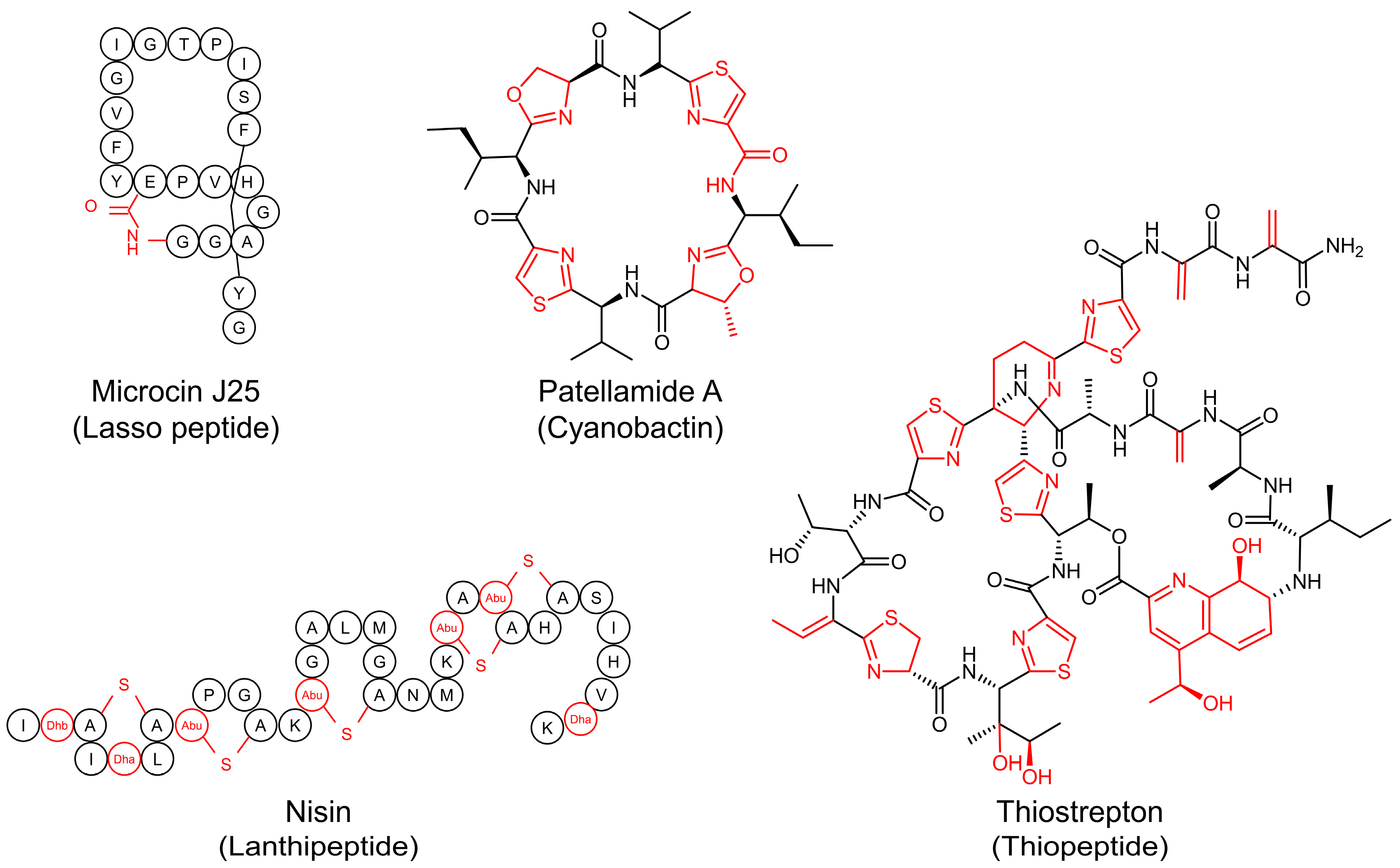Biomolecules 14 00479 g001 Biomolecules 14 00479 g001