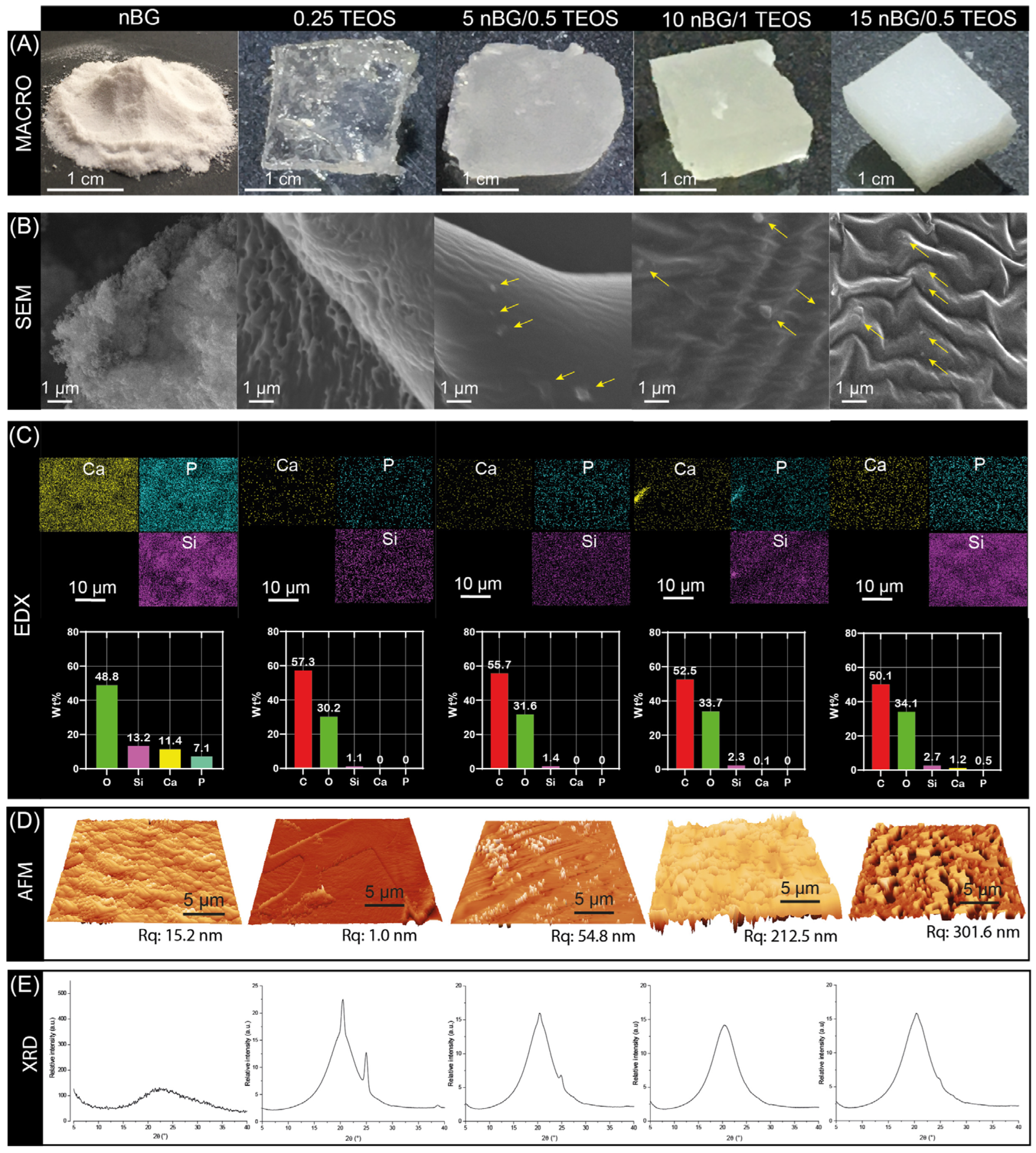 Biomolecules 14 00482 g005