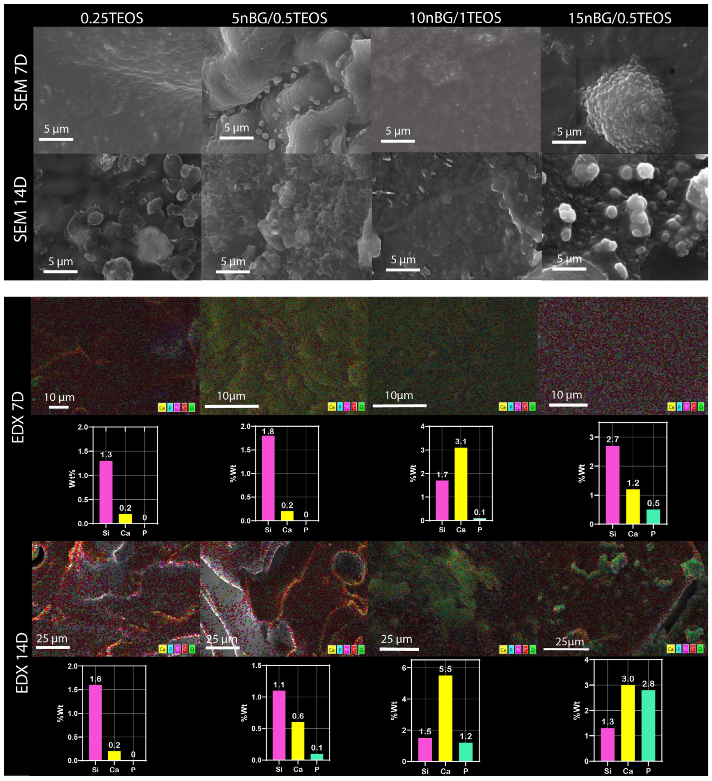 Biomolecules 14 00482 g009