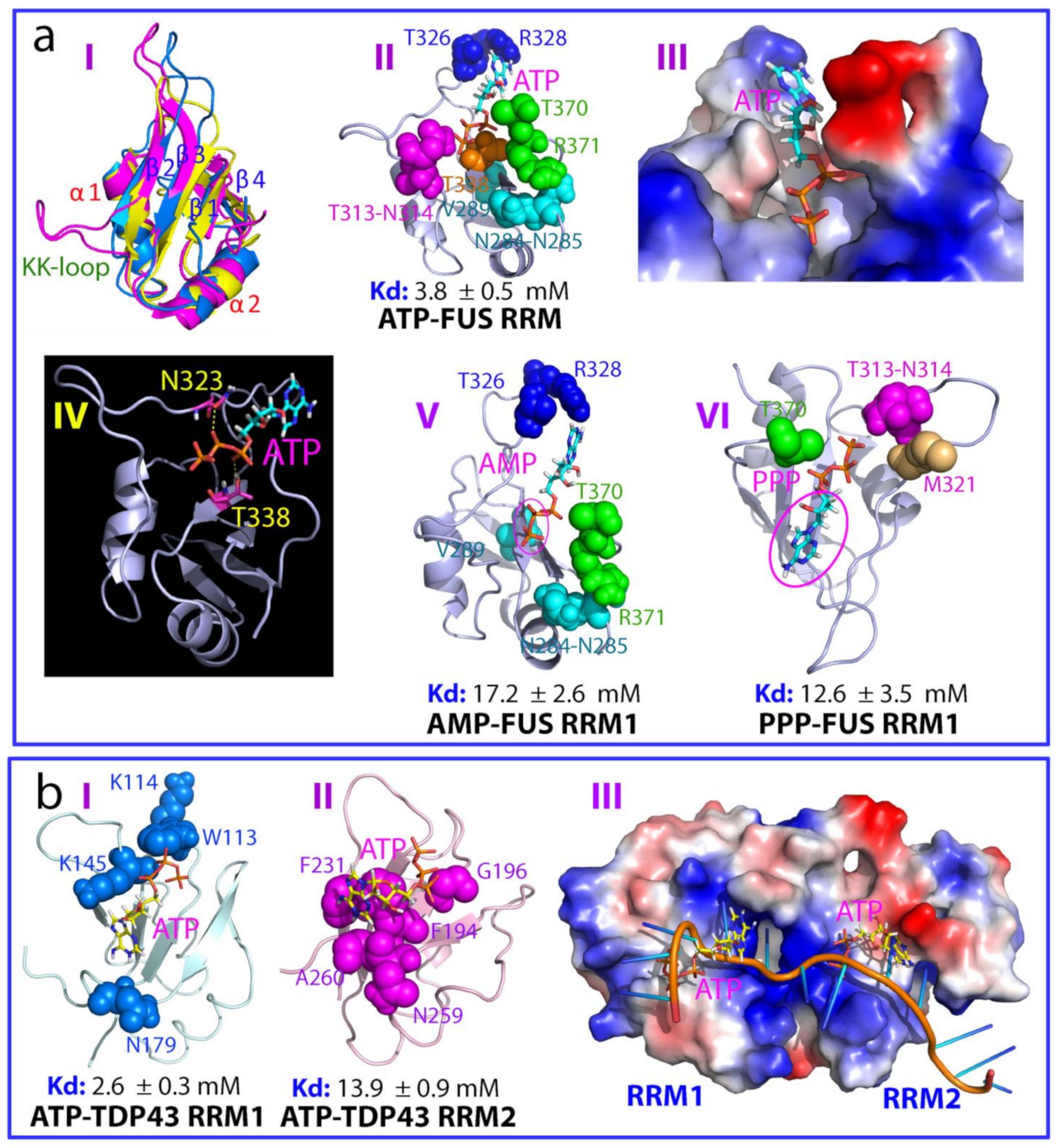 Biomolecules 14 00500 g002